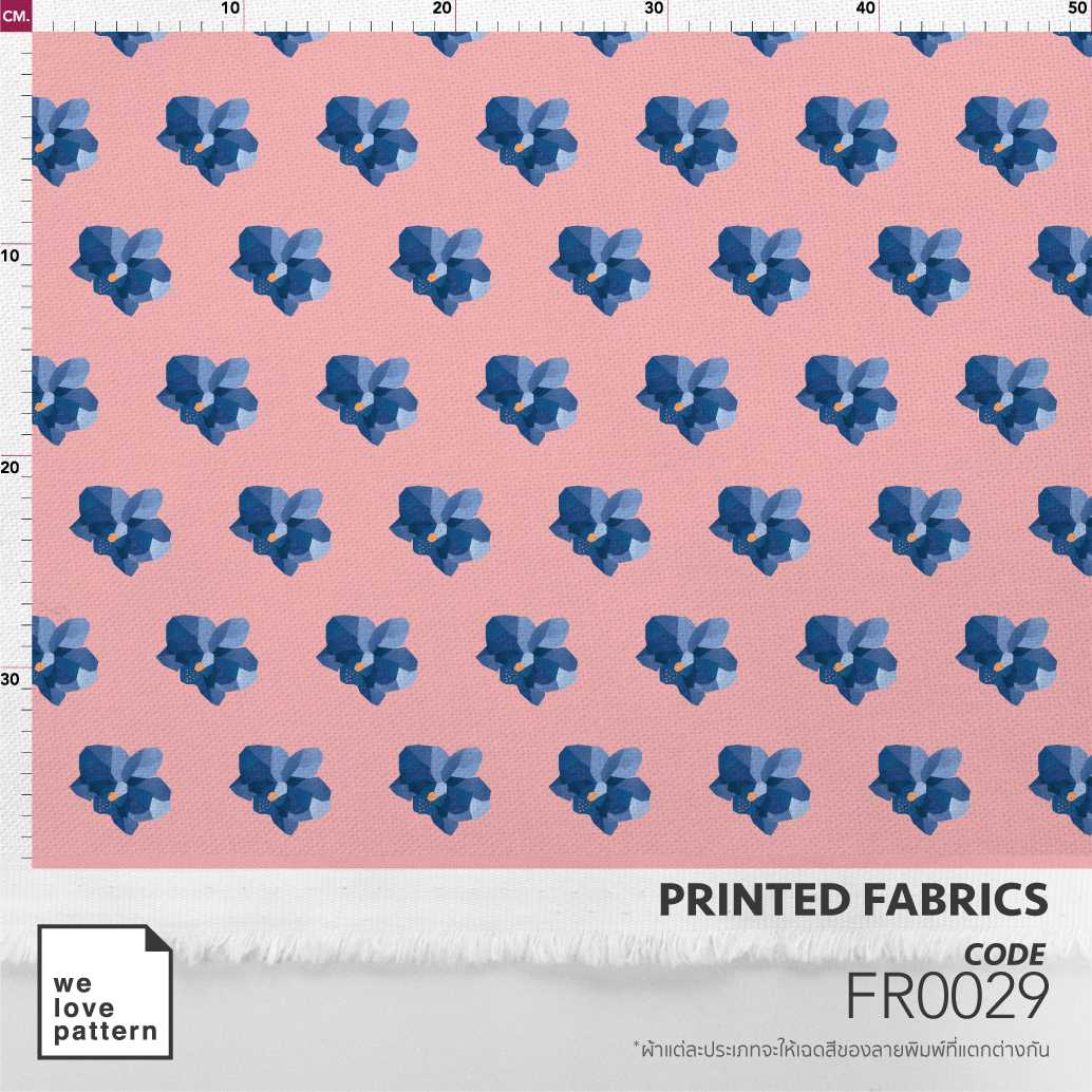 รหัสลาย : FR0029