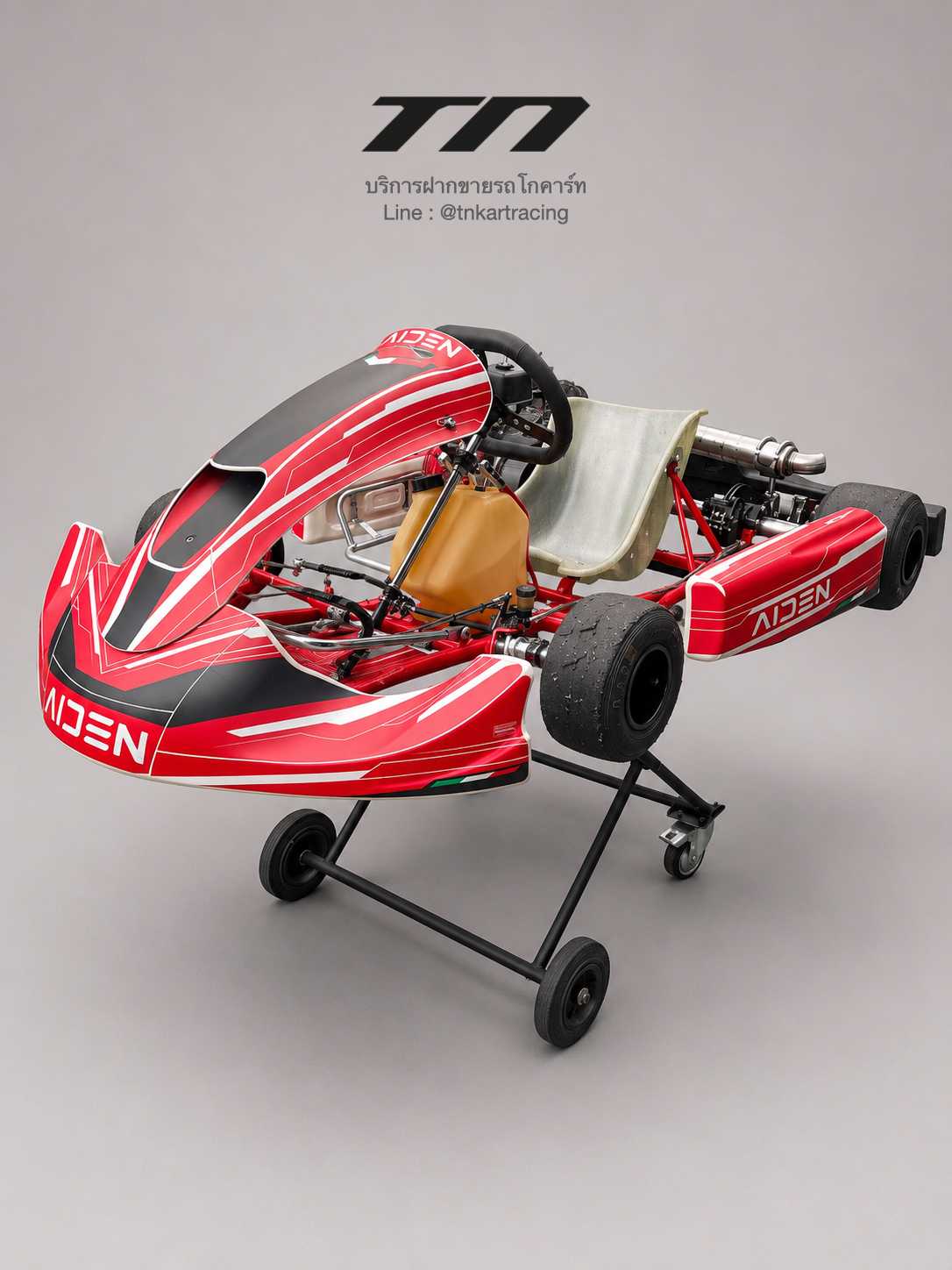 Birel Kart S14 + Honda GX270