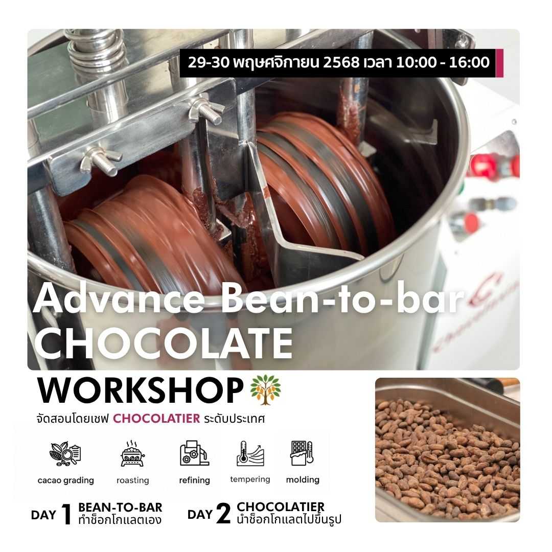 Advance Bean to bar Chocolate