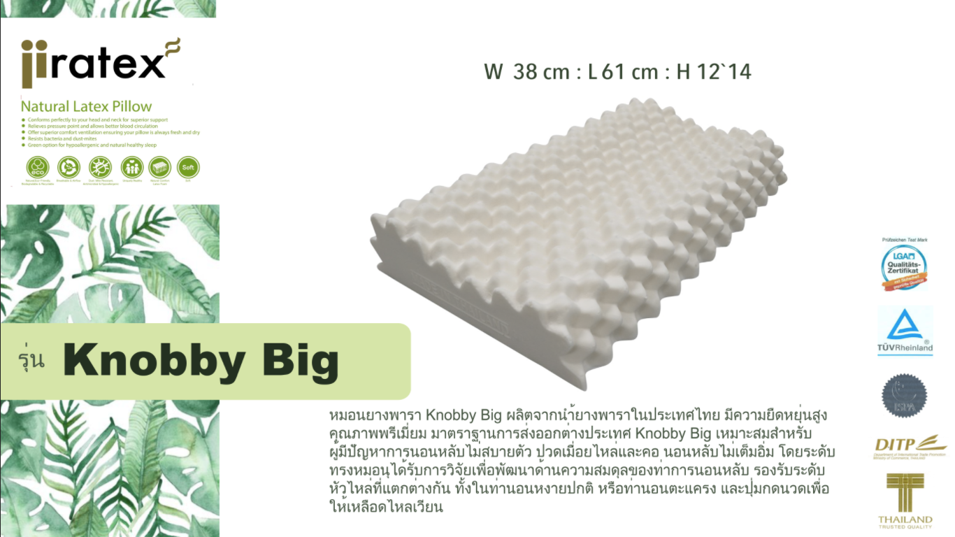 หมอนยางพารา รุ่น Knobby