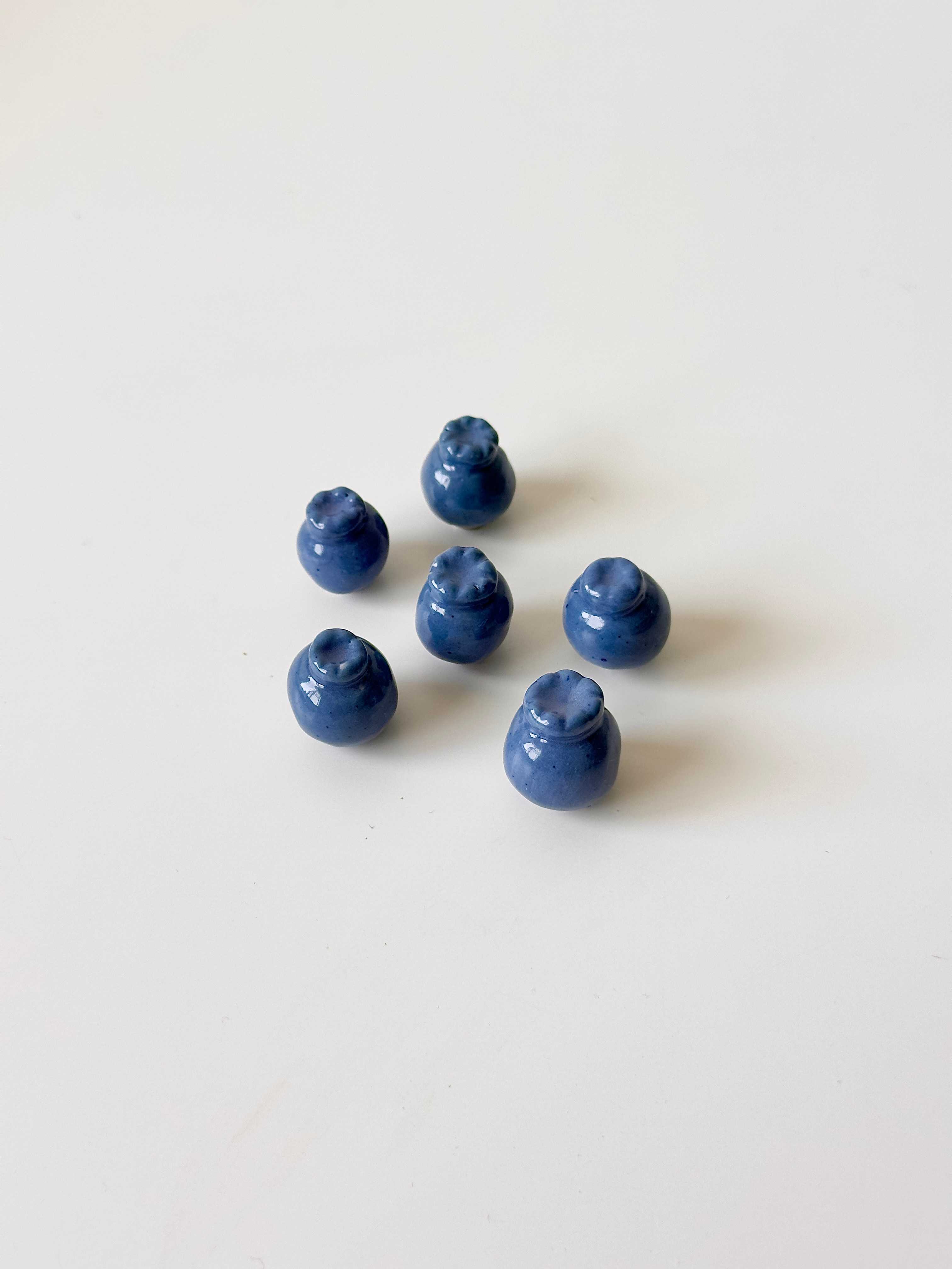 Mini Blueberry Magnet