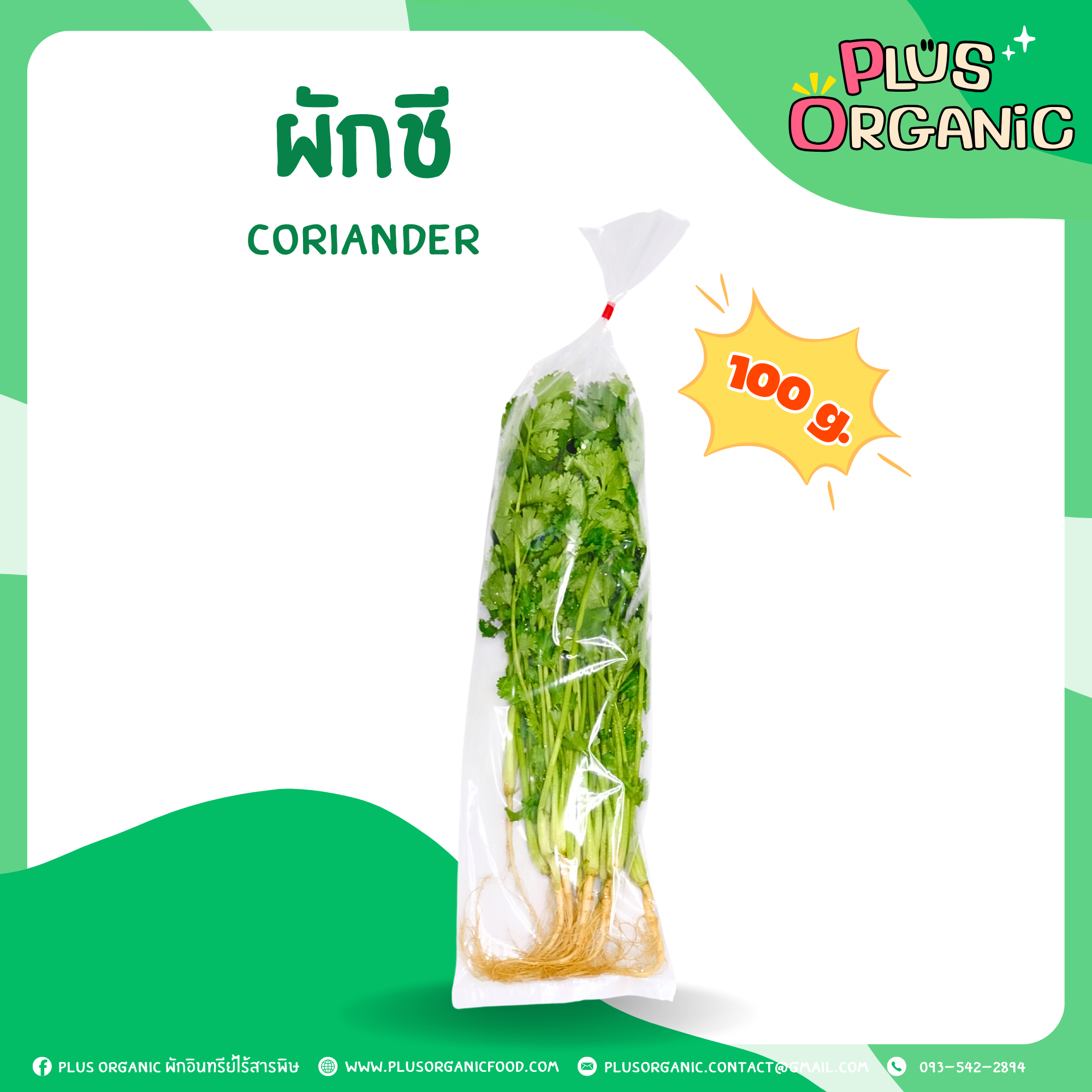ผักชี ออร์แกนิค 100 กรัม - Organic Coriander
