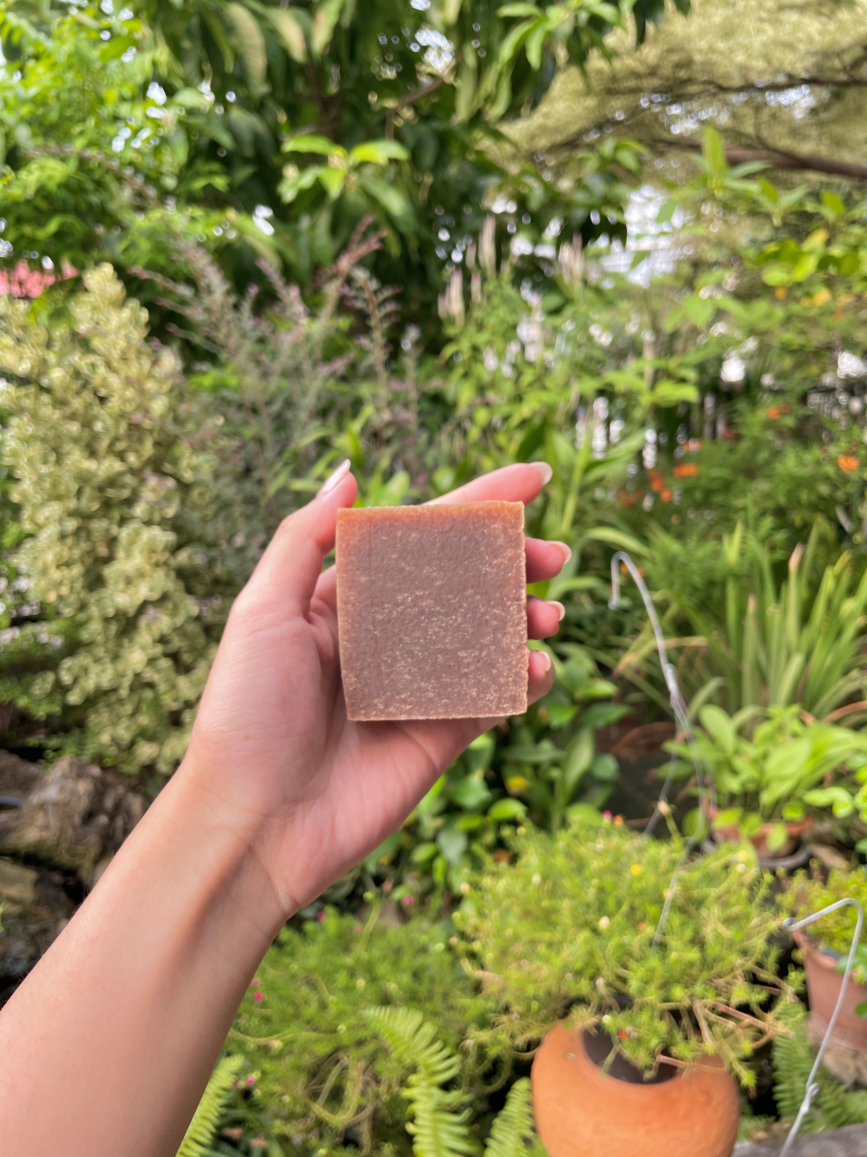 ❤️ Gentle Rescue – Mangosteen Soap🧡🍈🌿
