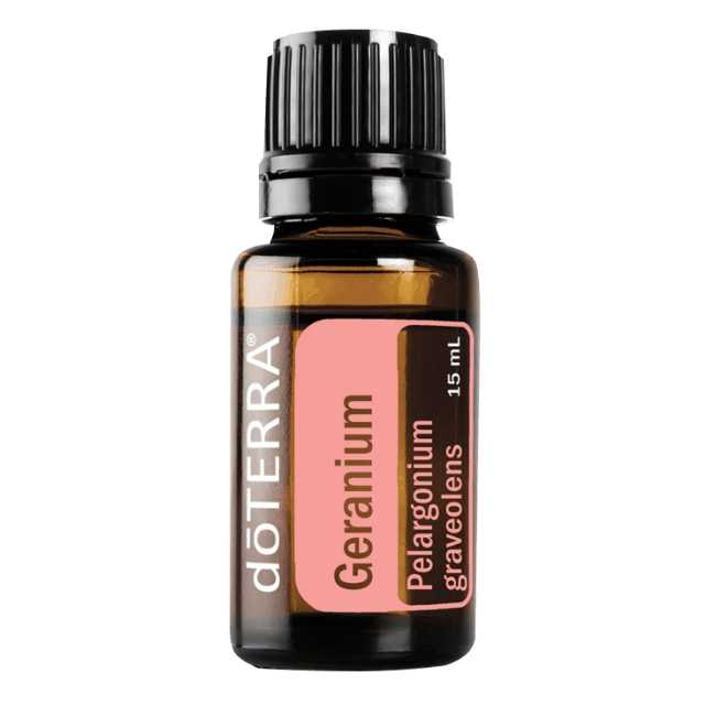 Geranium - เจอราเนียม - 57 PV