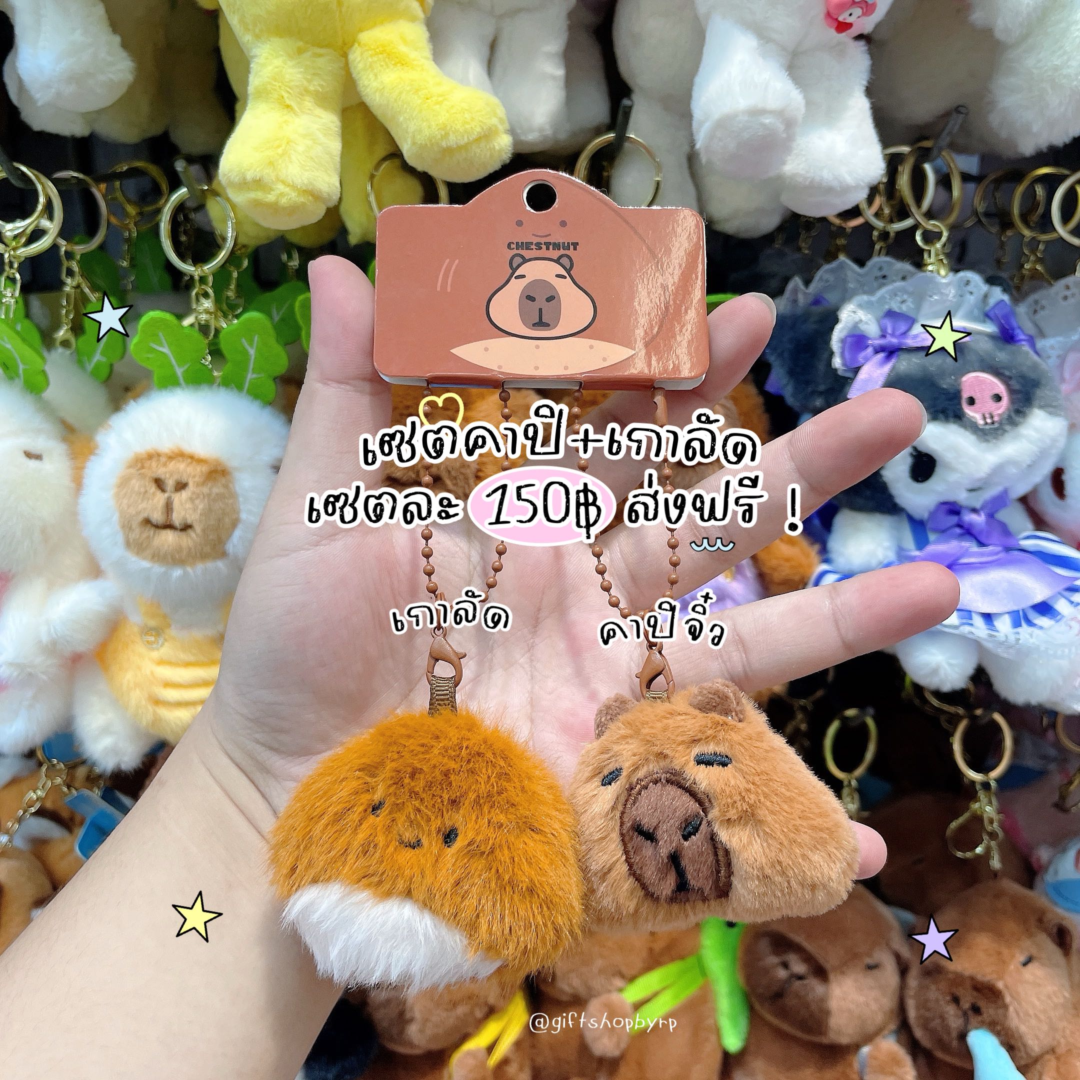 รวมคาปิบาร่าเกาลัด 🌰 ส่งฟรี