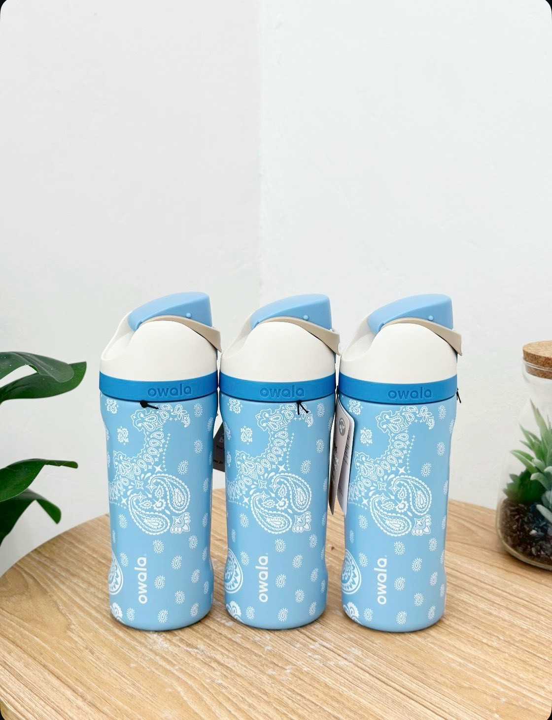 Owala Freesip 16 Oz (Bandana Rama)