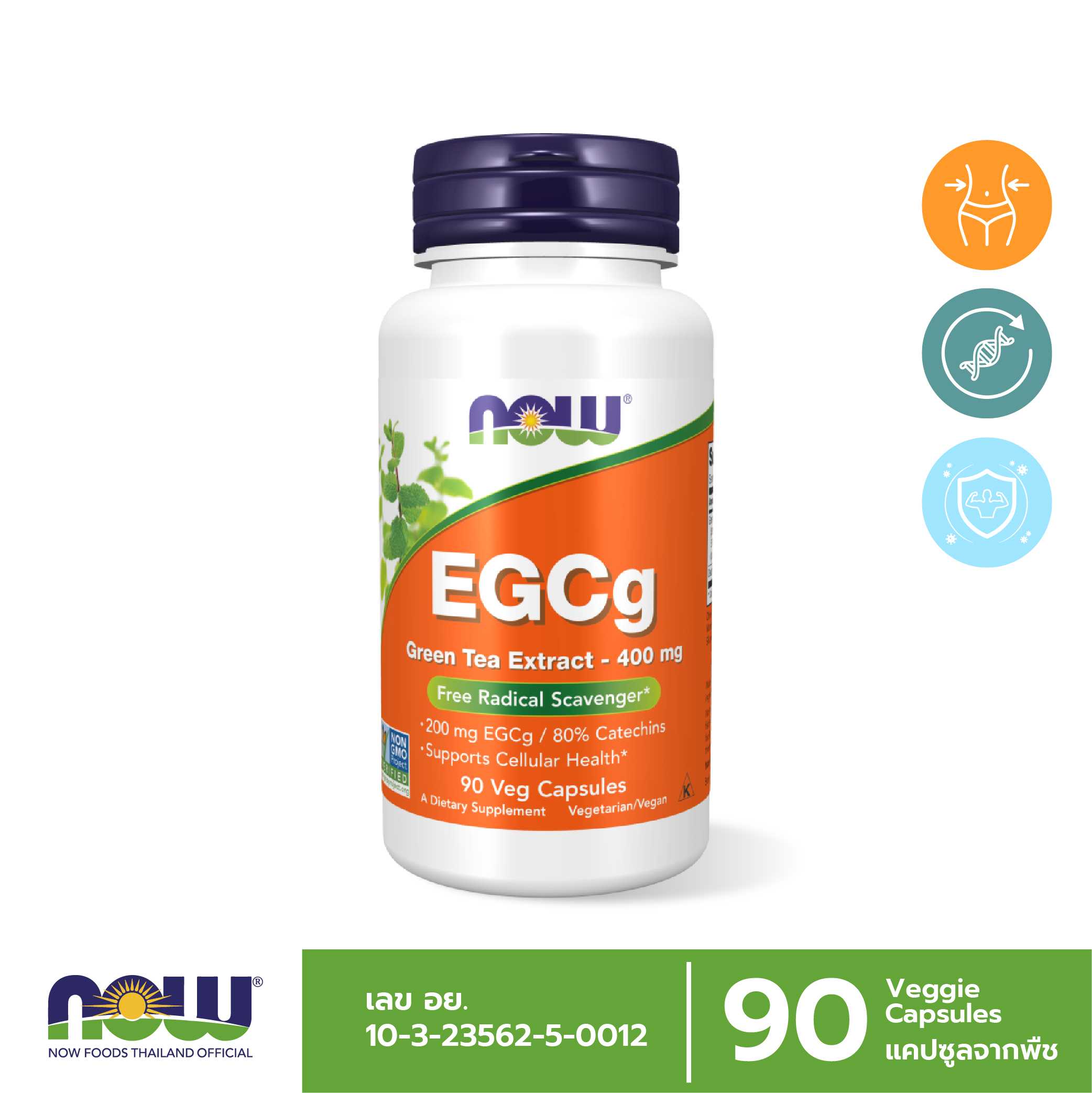 EGCg, Green Tea Extract, 400 mg 90 Veg Capsules ต้านอนุมูลอิสระ ขับสารพิษ เร่งเผาผลาญ