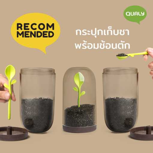 Sprout jar  กระปุก โหลใส่อาหารแห้ง ขวดใส่น้ำตาล กาแฟ  พร้อมช้อนในโหล ดีไซน์ ต้นอ่อน  Qualy (ควอลี่)