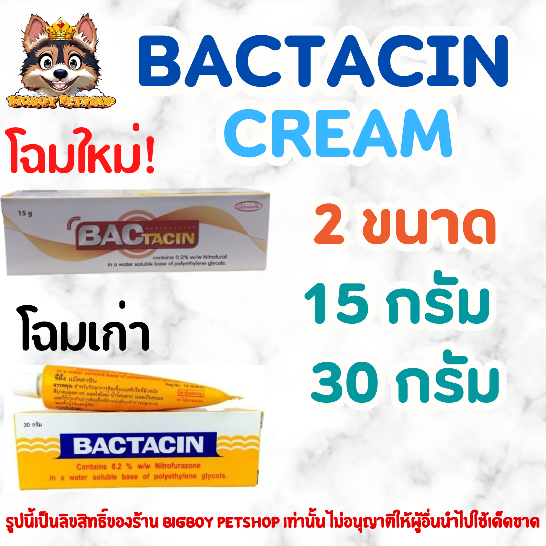 Bactacin Cream 1 หลอด ขนาด 15 กรัม และ 30 กรัม สำหรับสัตว์เลี้ยง แบคตาซิน แบ็คตาซิน