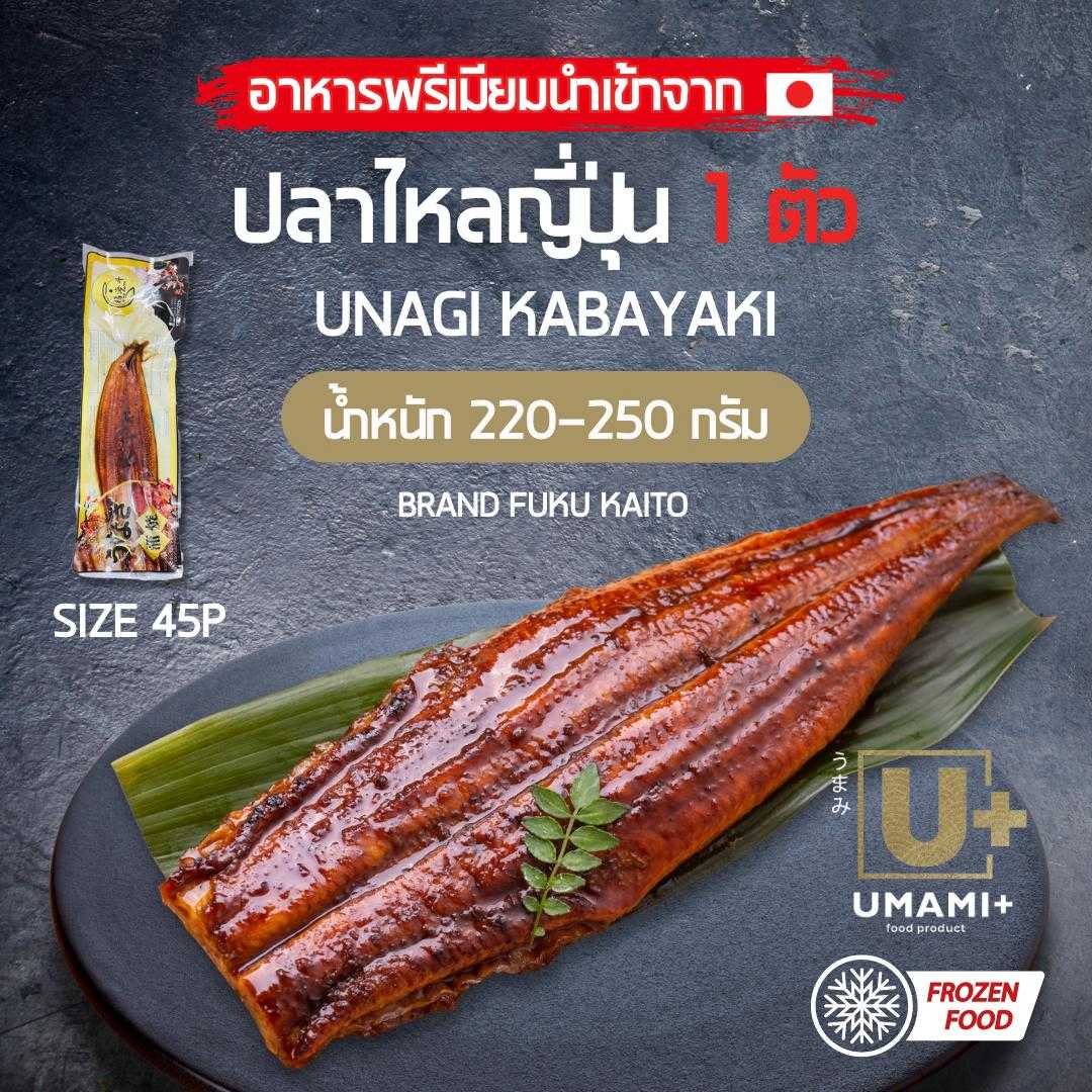 ปลาไหลญี่ปุ่น - UNAGI KABAYAKI – ปลาไหลย่างซีอิ๊ว แบรนด์ FUKU KAITO