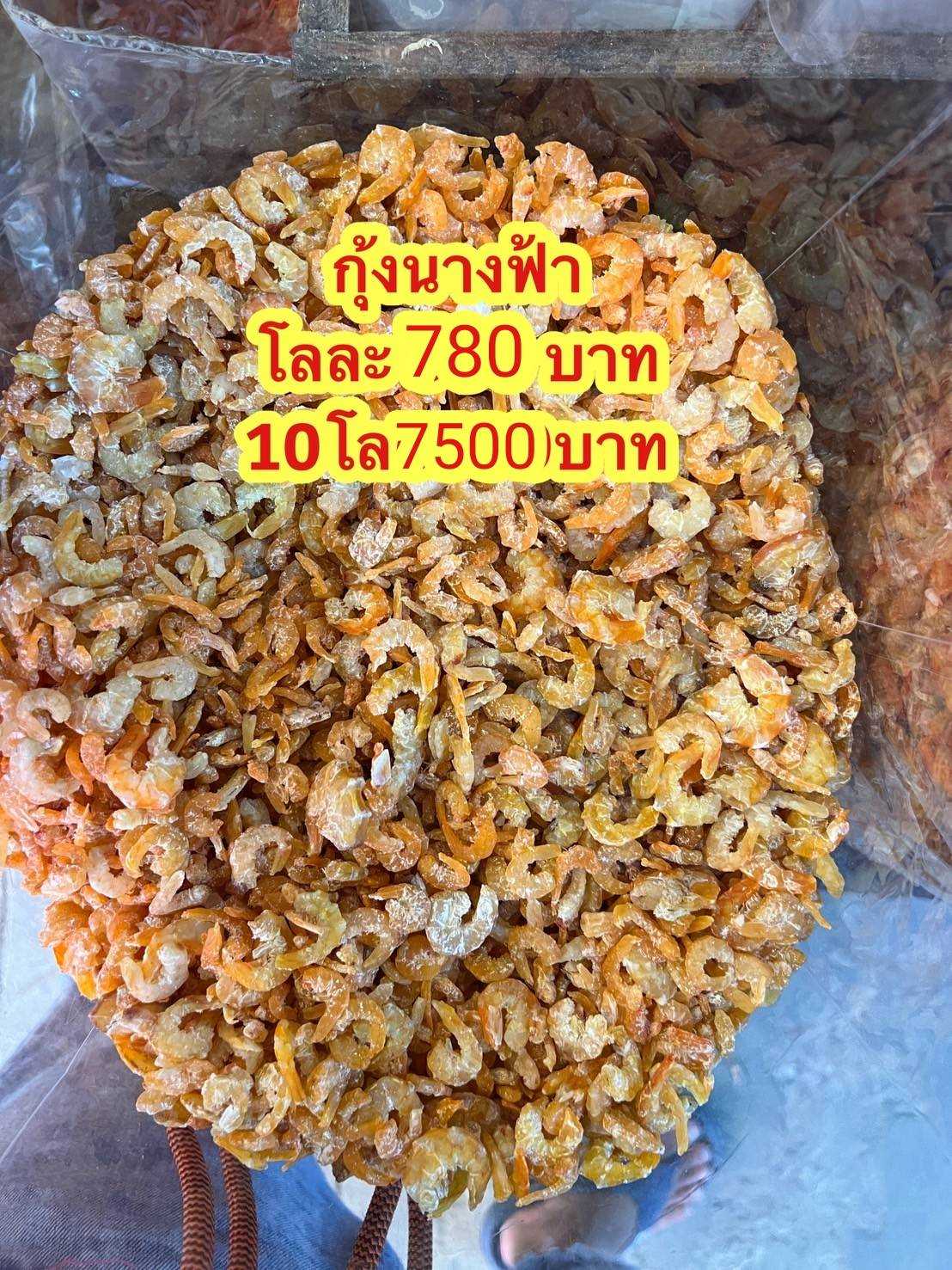 กุ้งนางฟ้าขนาด500กรัม