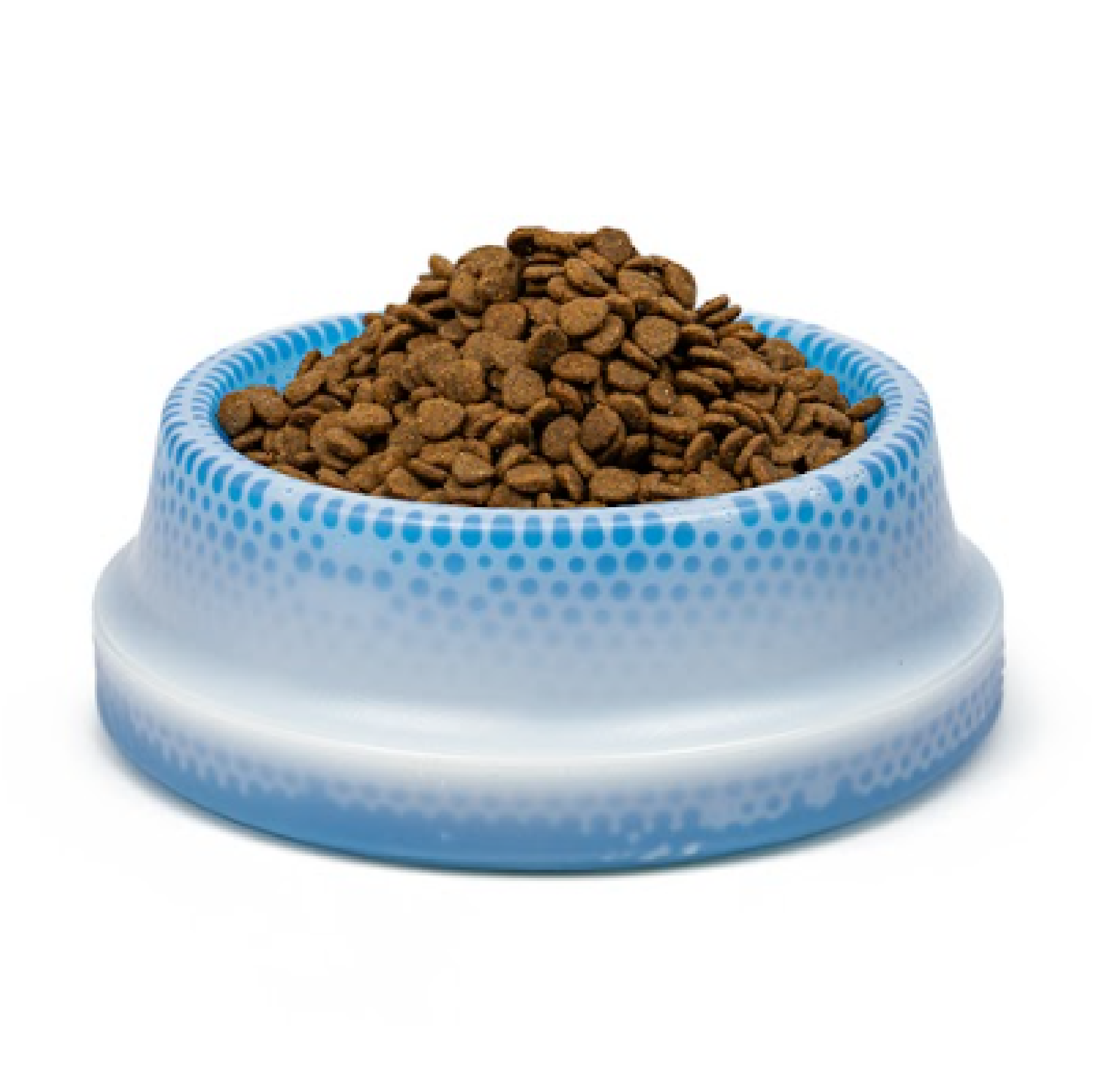 Pando Pet Cooling Bowl ชามเจลเย็นสำหรับสัตว์เลี้ยง dogs.haus