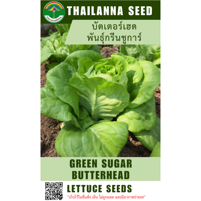 บัตเตอร์เฮด พันธุ์กรีนชูการ์ ( ขนาด 10 กรัม ) รหัสสินค้า 1014