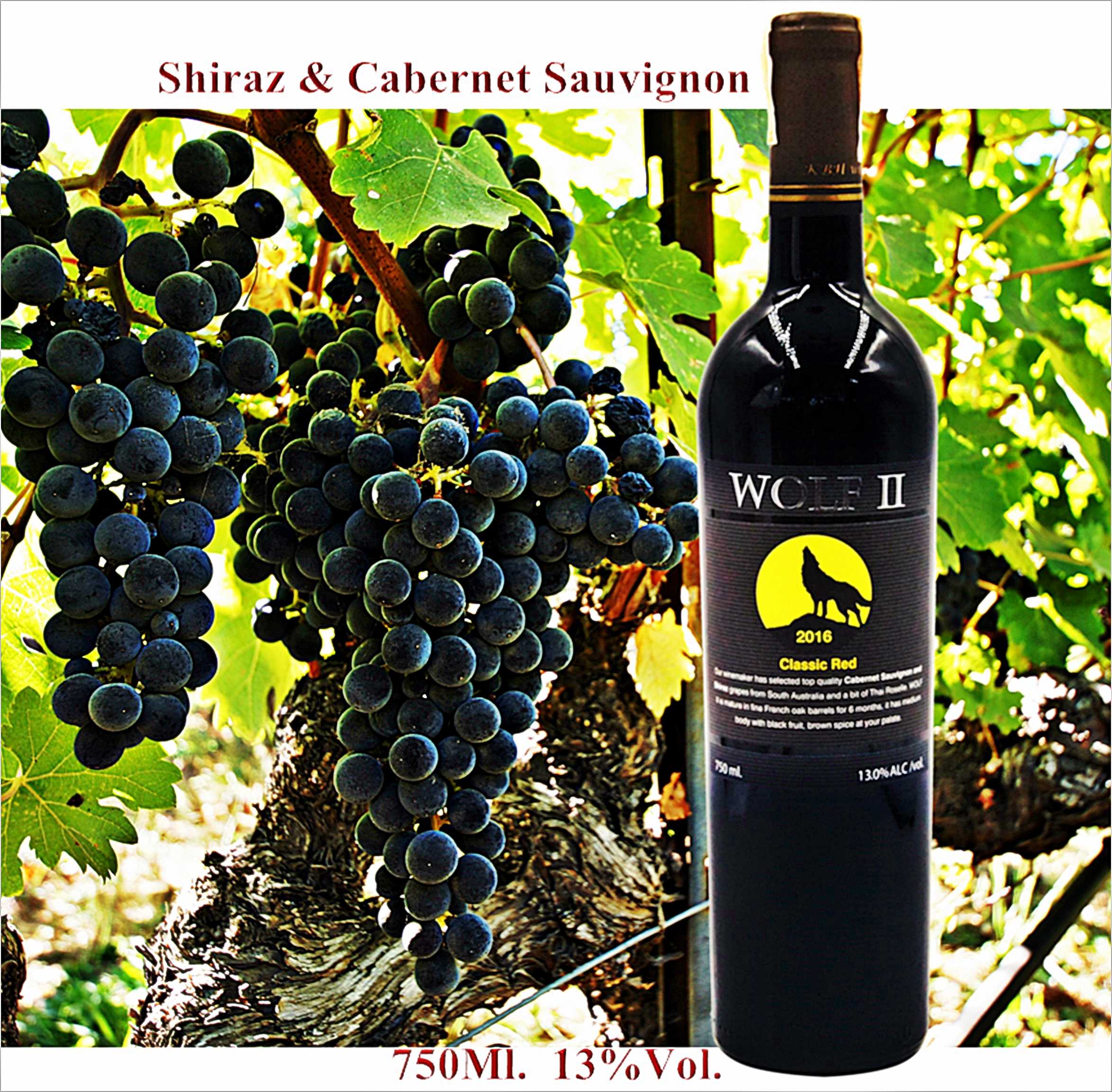 Wolf II Shiraz & Cabernet Sauvignon   Red Wine