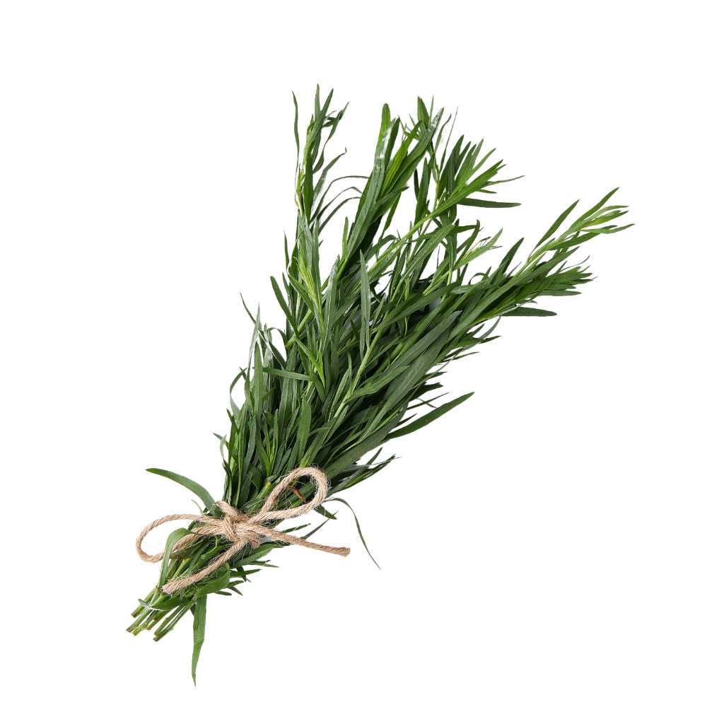 FG04003 โรสแมรี่ Rosemary ( 30g )