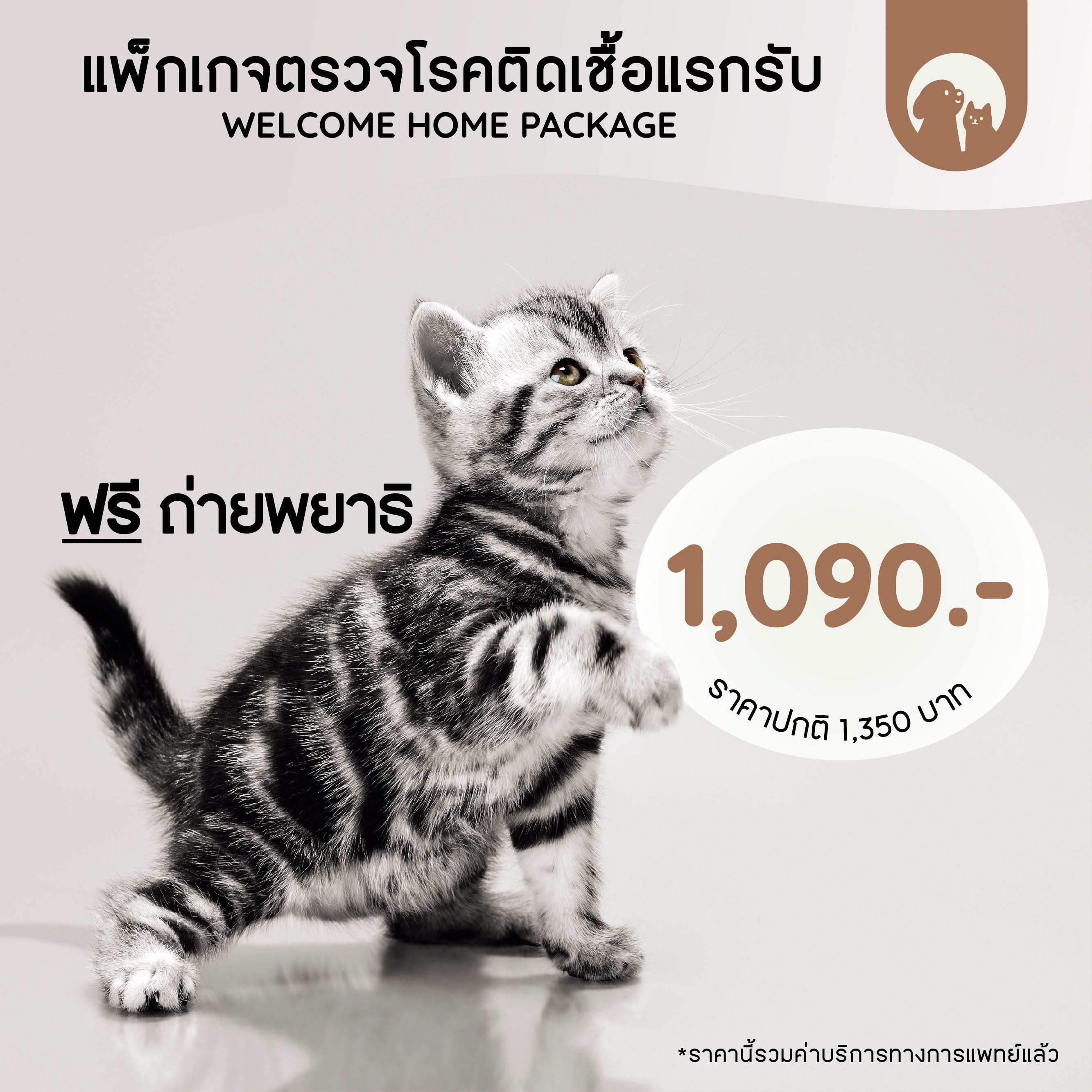 แพ็กเกจตรวจโรคติดเชื้อแรกรับสำหรับแมว