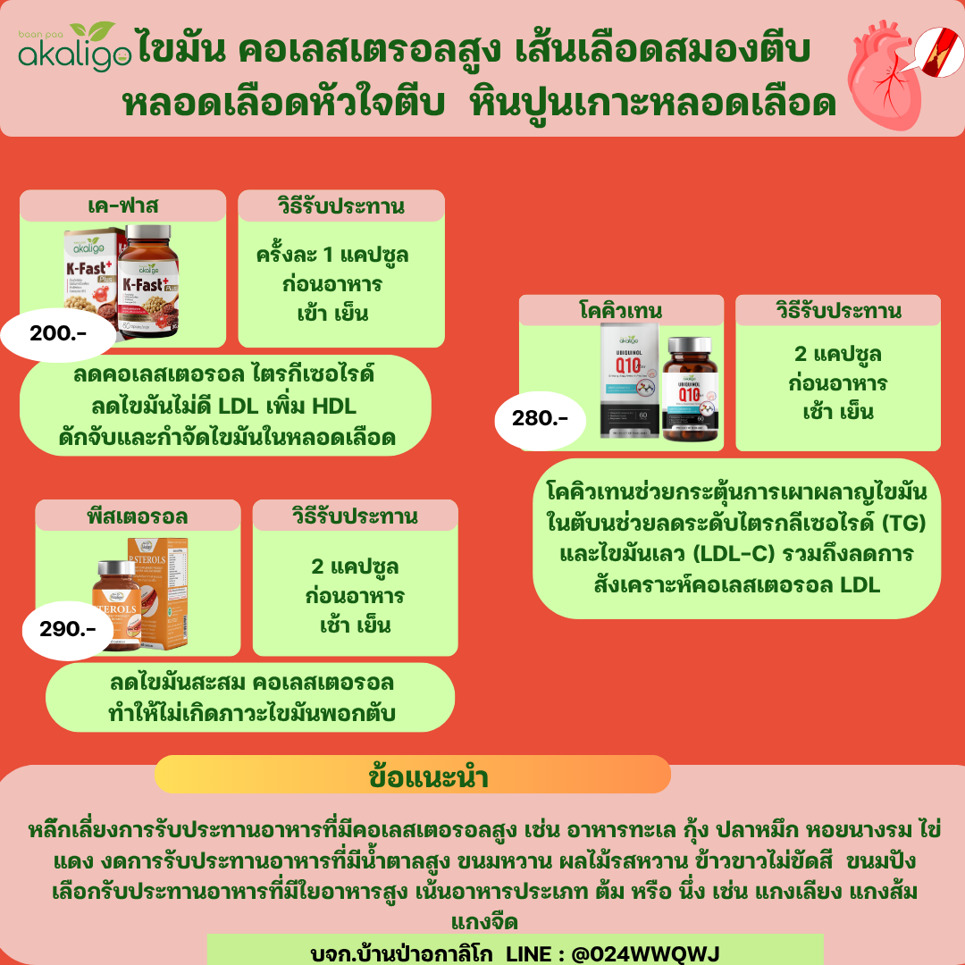 ชุดผู้มีปัญหา ไขมันในเลือดสูง เส้นเลือดสมองตีบ คอเรสเตอรอลสุง มีปัญหาหลอดเลือดหัวใจ