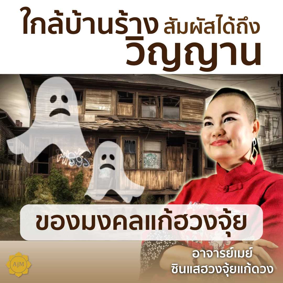 Ajanmay โมบายฮวงจุ้ย ของมงคล เสริมดวง  สำหรับบ้าน ใกล้บ้านร้าง วิญญาณ สิ่งเร้นลับ (นกคุ้ม)