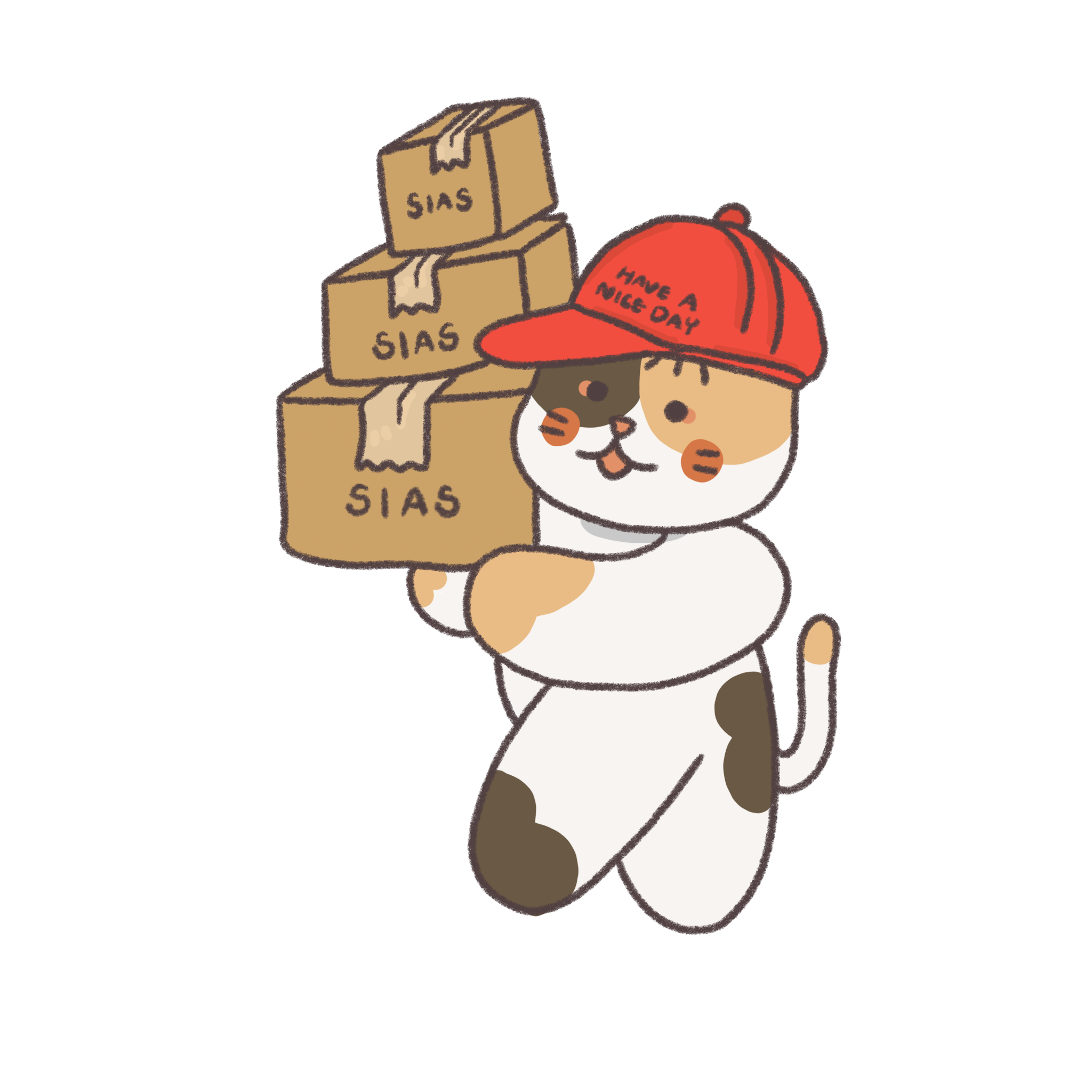 An Image