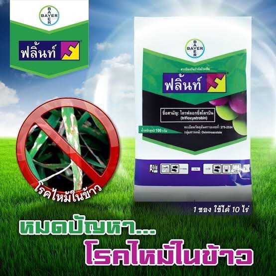ฟลิ้นท์ (Flint®) ขนาด 100 กรัม  สารป้องกันและกำจัดโรคในข้าว มะม่วง