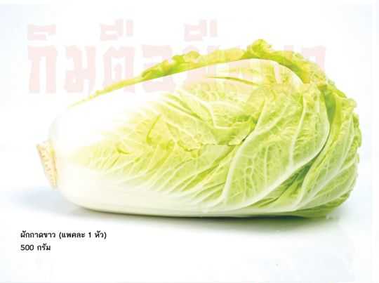 ผักกาดขาว(Chinese cabbage)