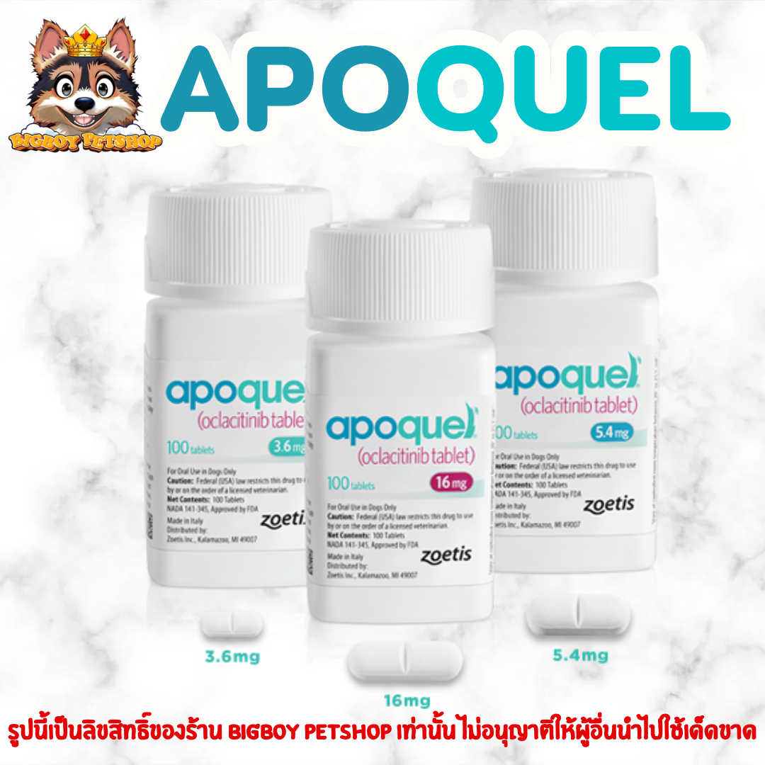 ยกกระปุกล็อตใหม่expปี27 Apoquel อะโพเควลบรรจุ 100 เม็ด