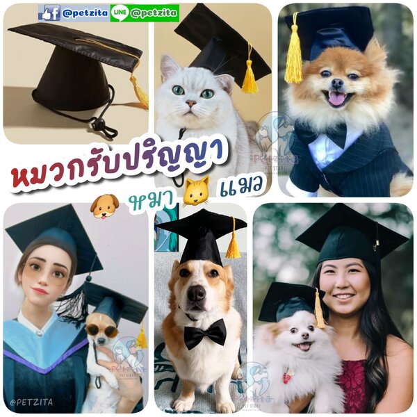 🇹🇭สินค้าอยู่ไทย-พร้อมส่ง🇹🇭 !!! ถูกสุด !!! 👨🎓👩🎓🎉 หมวกรับปริญญาสุนัข หมวกรับปริญญาแมว สัตว...