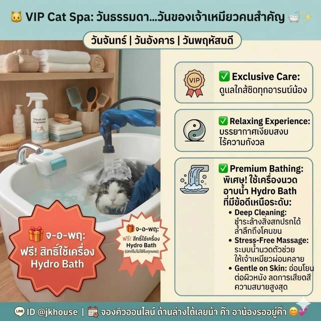 (โปรโมชั่น) VIP Cat Spa จันทร์ อังคาร พฤหัส (ราคาเริ่มต้น 500 บาท)