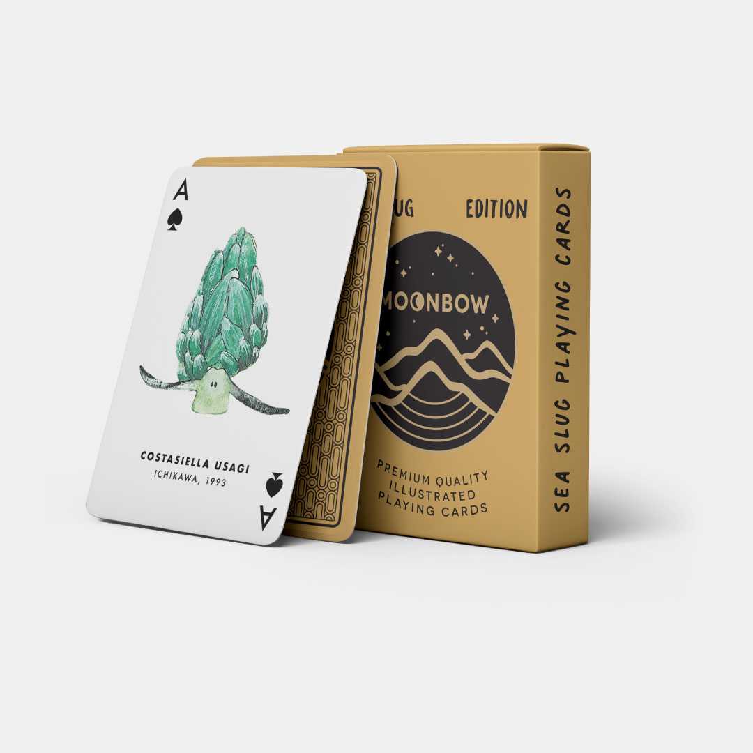 Sea slug playing cards การ์ดทากทะเล นู้ดี้