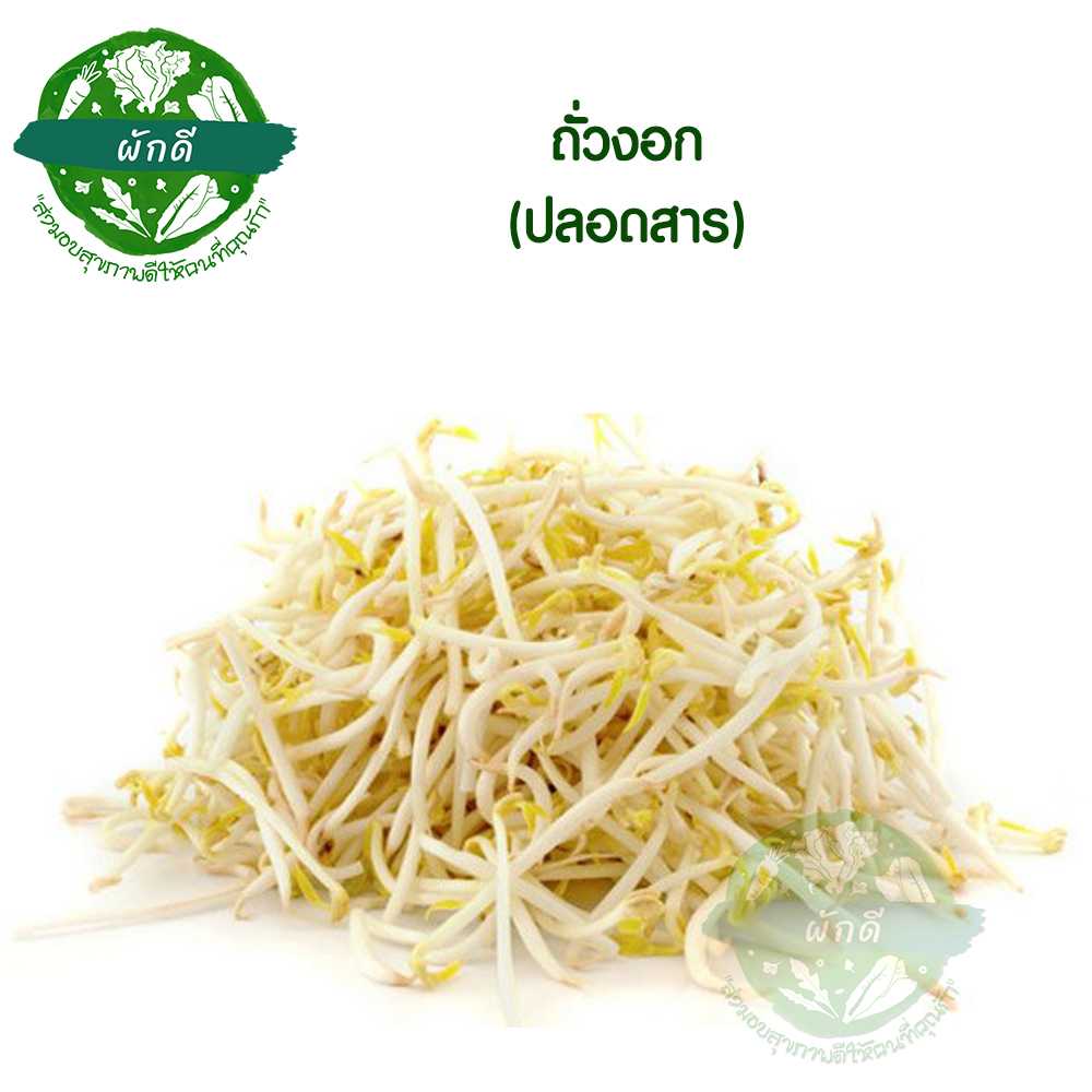 ถั่วงอก (ปลอดสาร) 500  กรัม