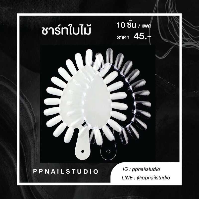 ชาร์ทโชว์สีทาเล็บ ชาร์ทใบไม้