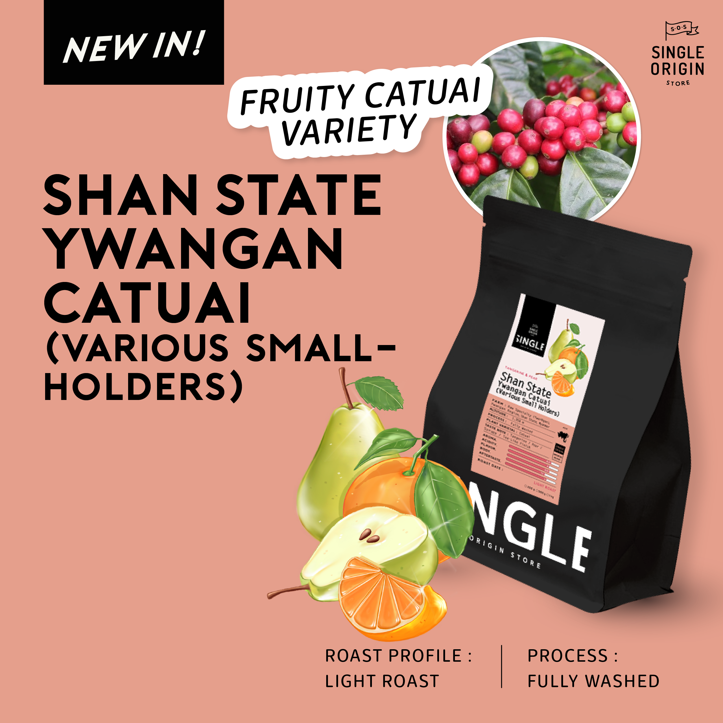 Shan State Ywangan Catuai (Various Smallholders)
