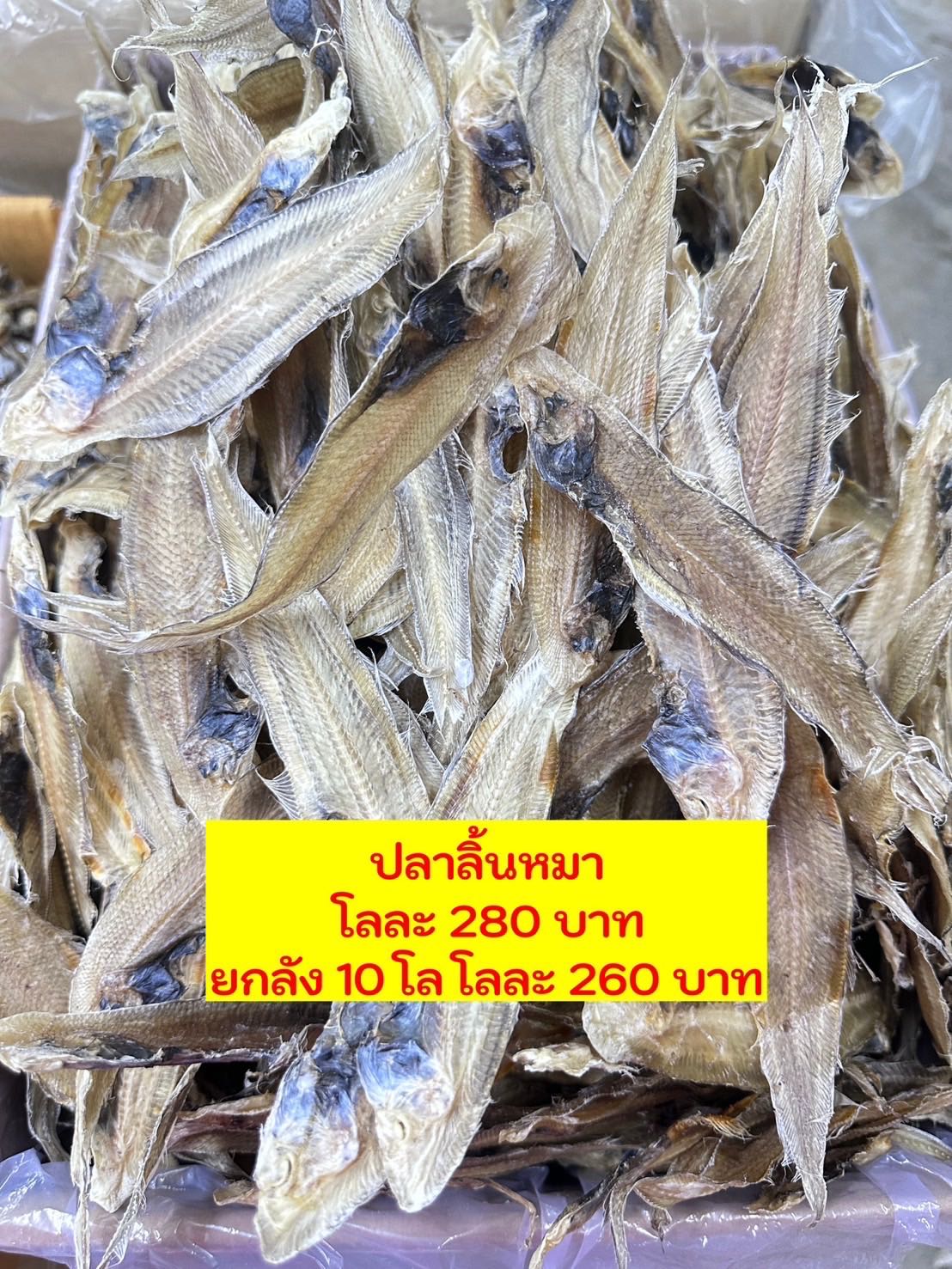 ปลาลิ้นหมา