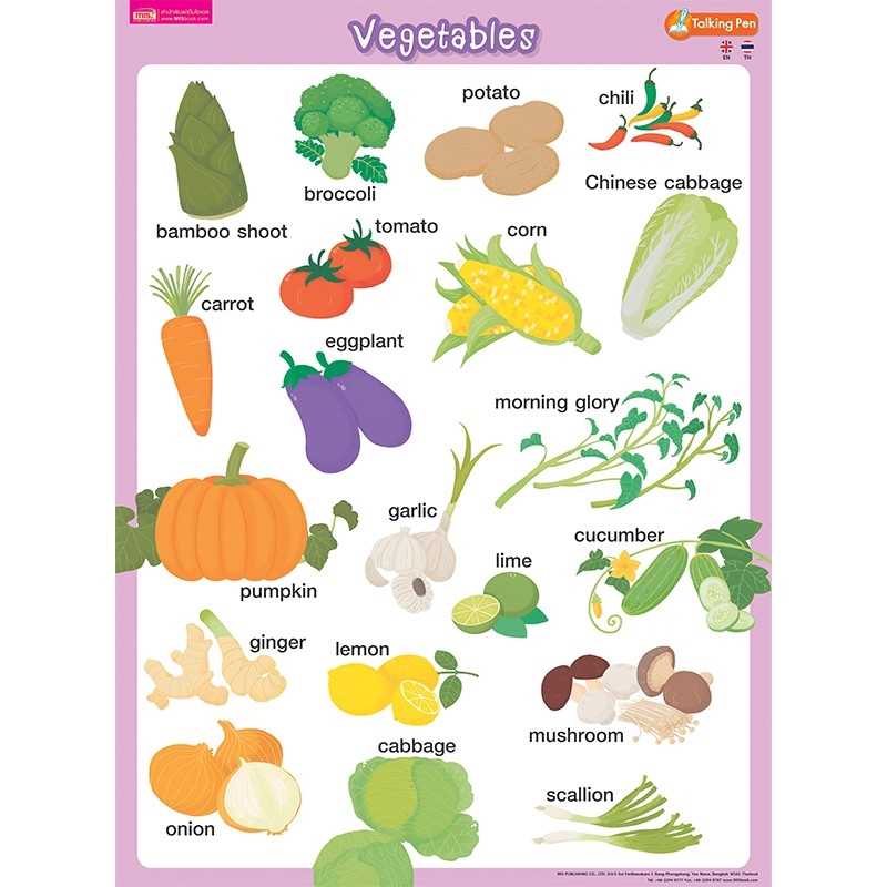 โปสเตอร์พลาสติก Vegetables (ใช้กับ Talking Pen)