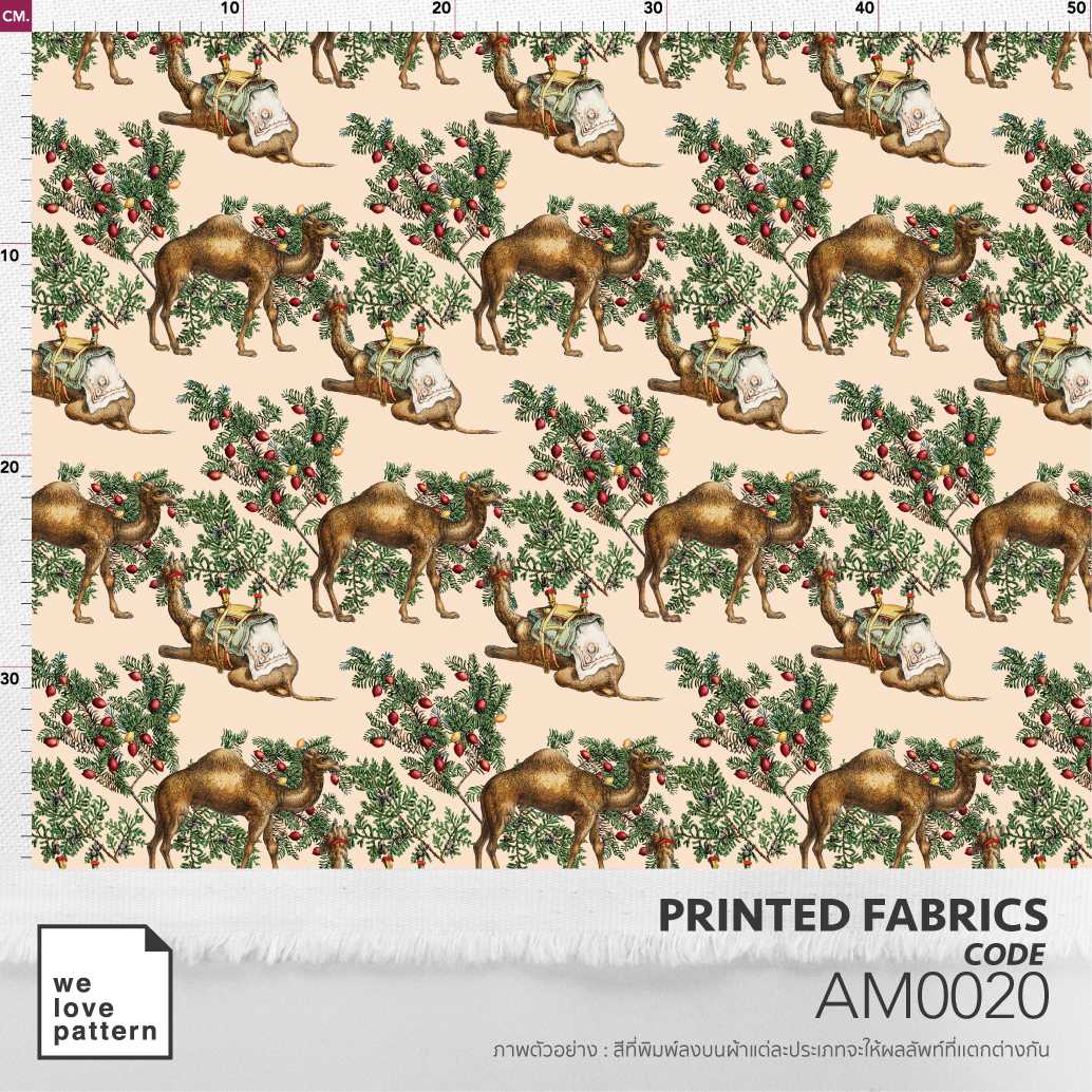 รหัสลาย : AM0020