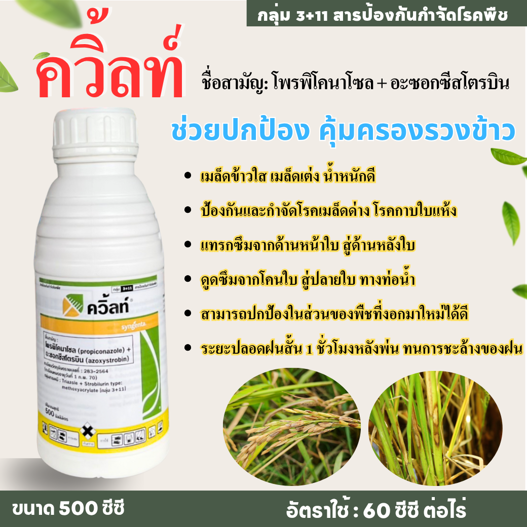 ควิ้ลท์ 500 ml โพรพิโคนาโซล+อะซอกซีสโตรบิน ป้องกันและกำจัดโรคใบไหม้ เมล็ดด่าง กาบใบแห้งในนาข้าว
