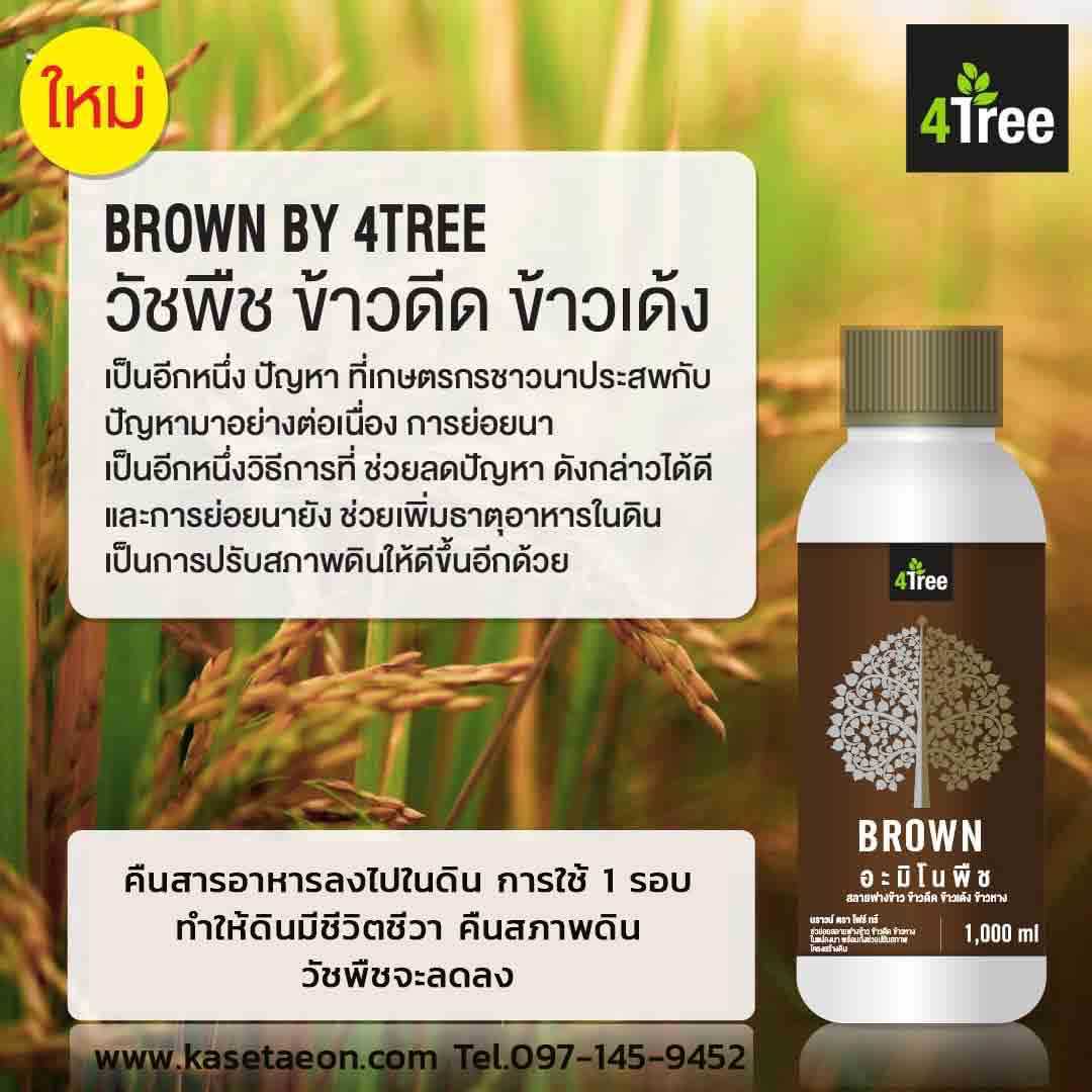 อมิโน Brown