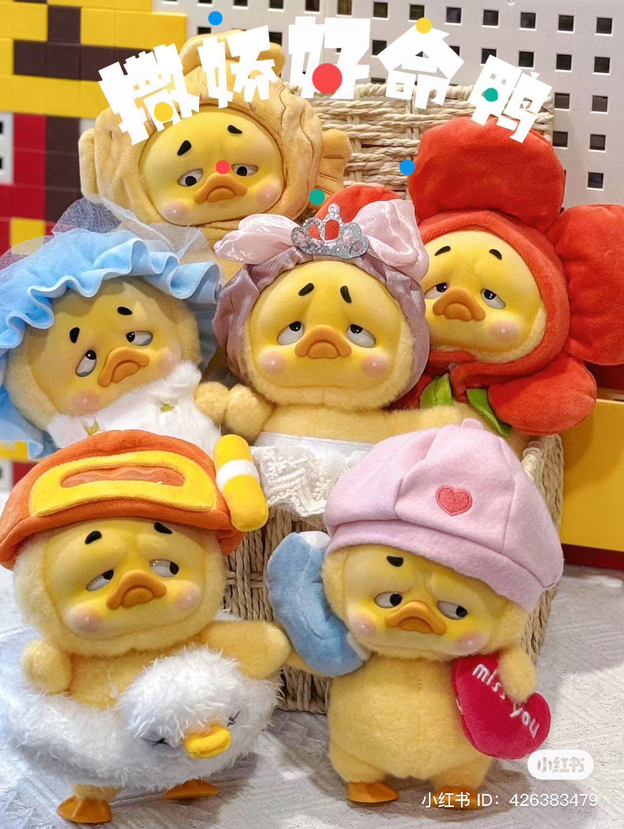 /พร้อมส่ง/ UPSET DUCK V.2