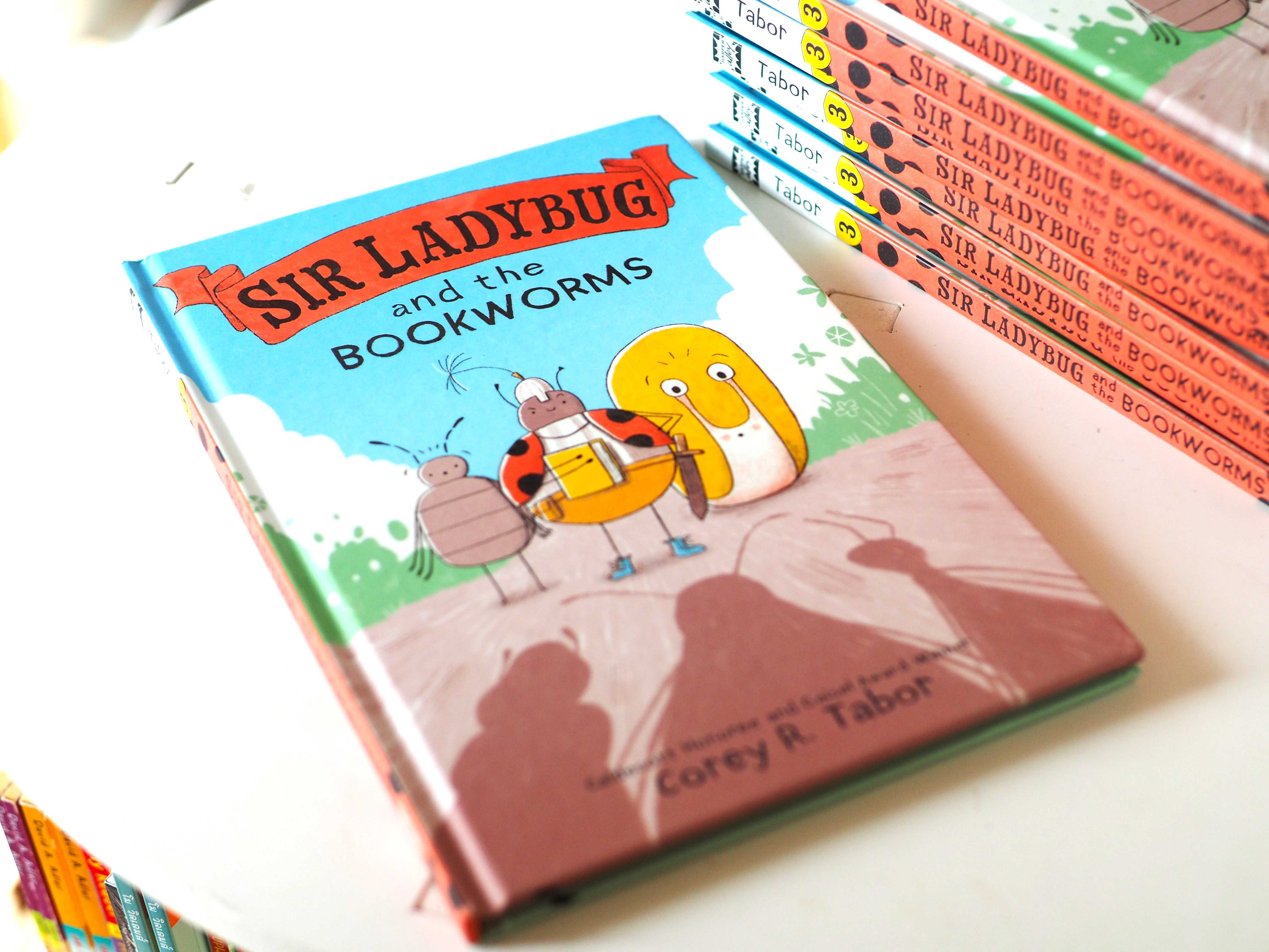 Sir Ladybug and the Bookworms (Used)