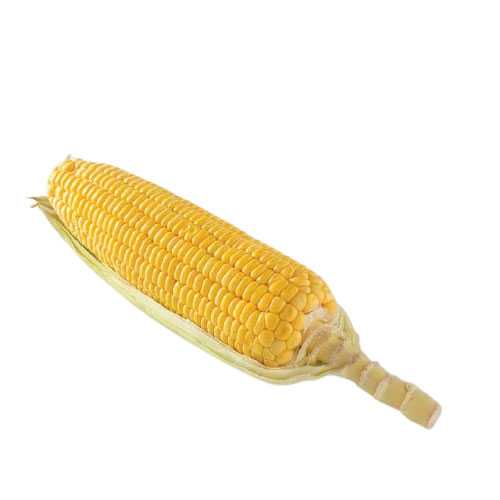 FG08007 ข้าวโพดหวาน Sweet Corn ( 400g )