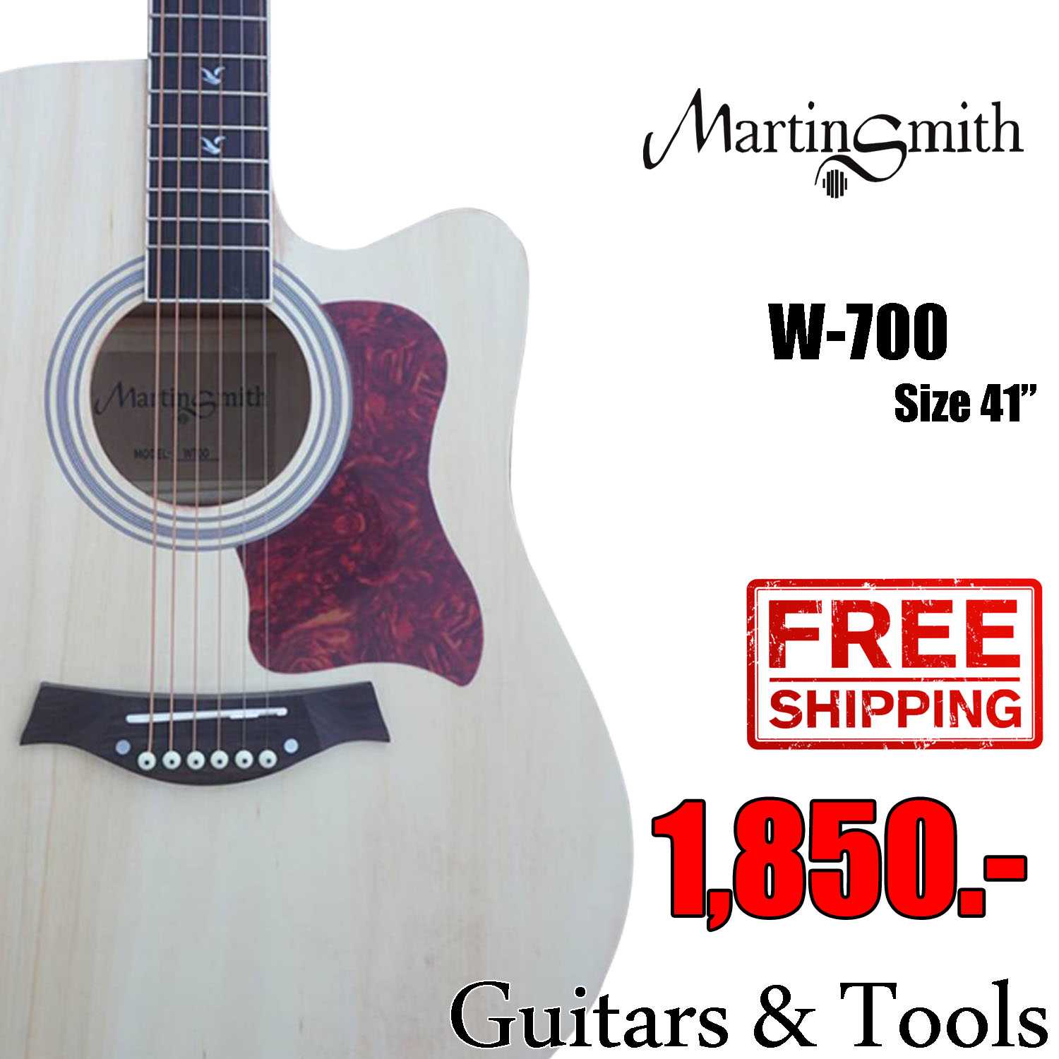 Acoustic Guitar MartinSmith W-700