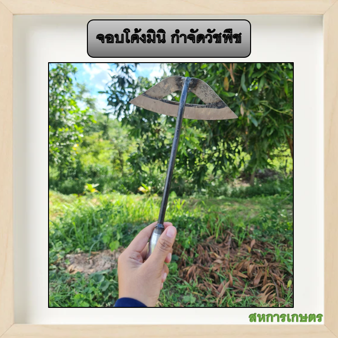 จอบโค้งมินิ กำจัดวัชพืช 1 แถม 1  ราคา 339 บาท
