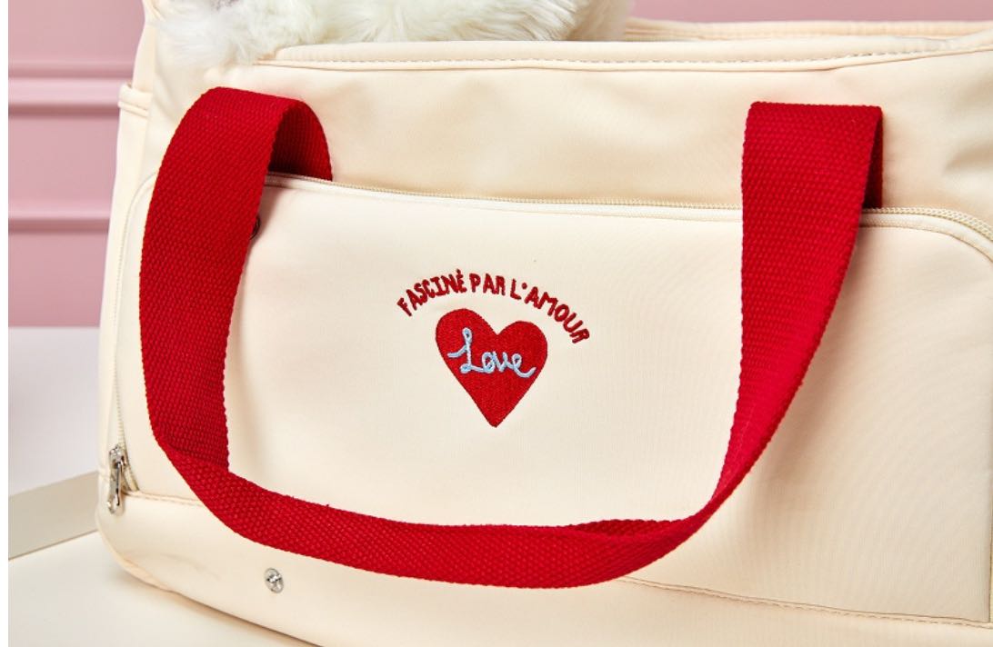 พร้อมส่ง กระเป๋าใส่น้องหมา สินค้านำเข้าจากเกาหลี 