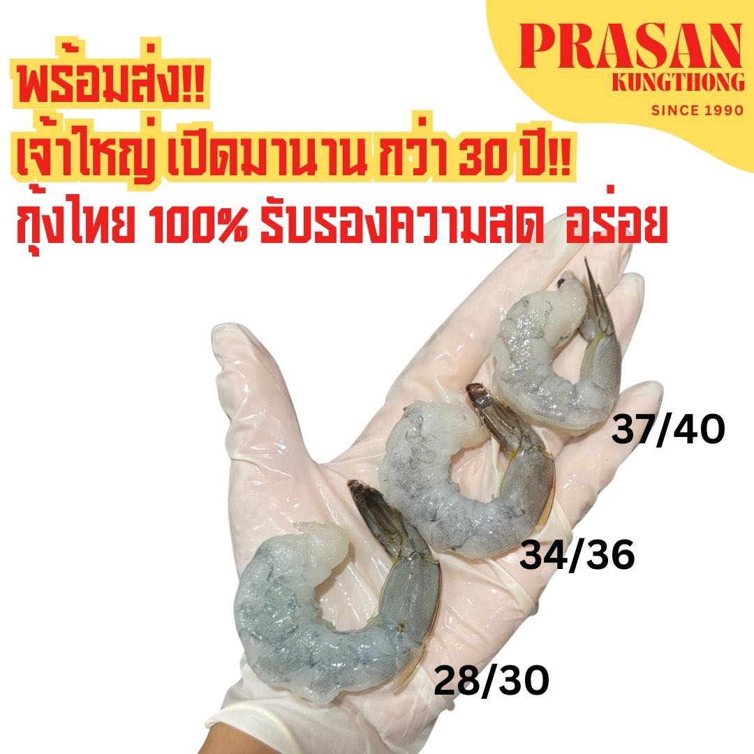  กุ้งขาวแกะสดๆ ส่งตรงจากแพ “ปลอดภัย” M  34/36 ตัวโล 