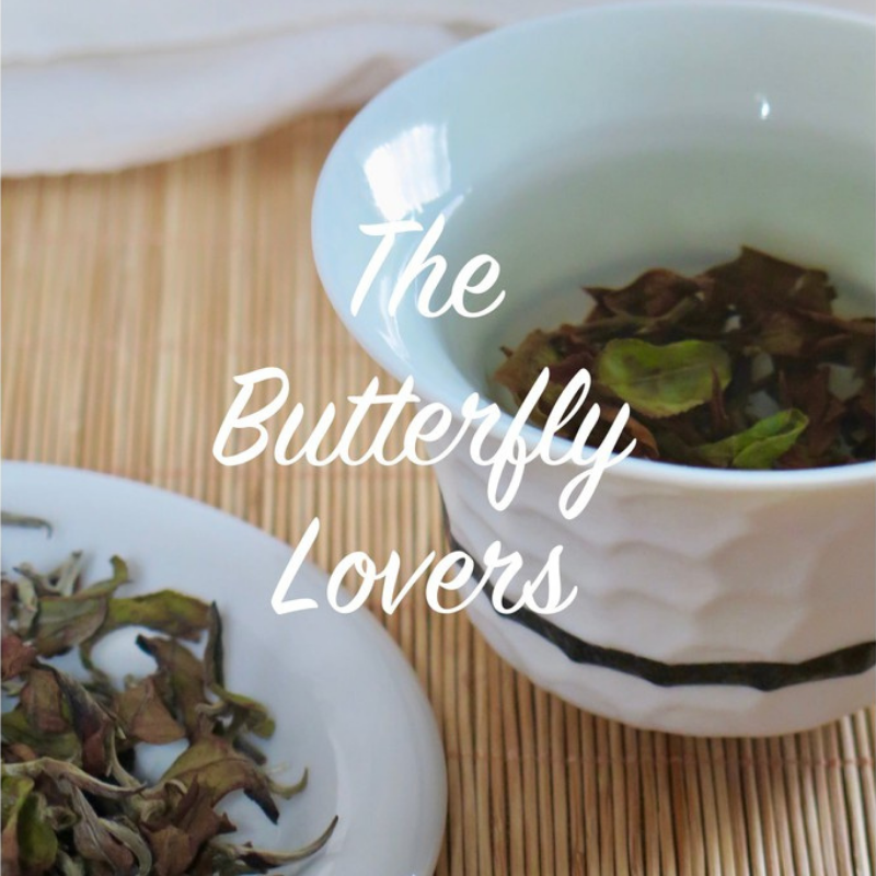 Butterfly Lovers ชาขาว สายพันธุ์จินเชวียน