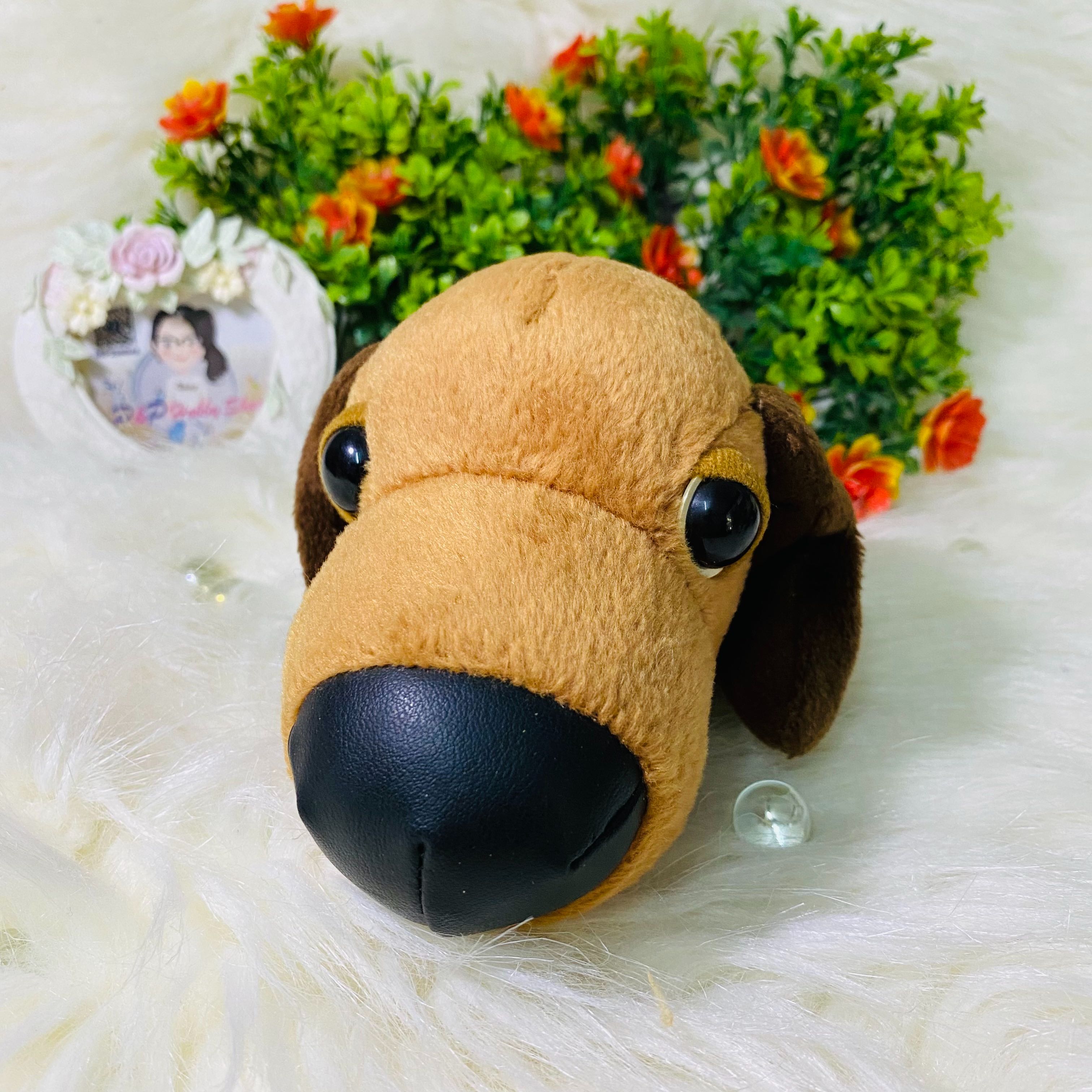 The Dog