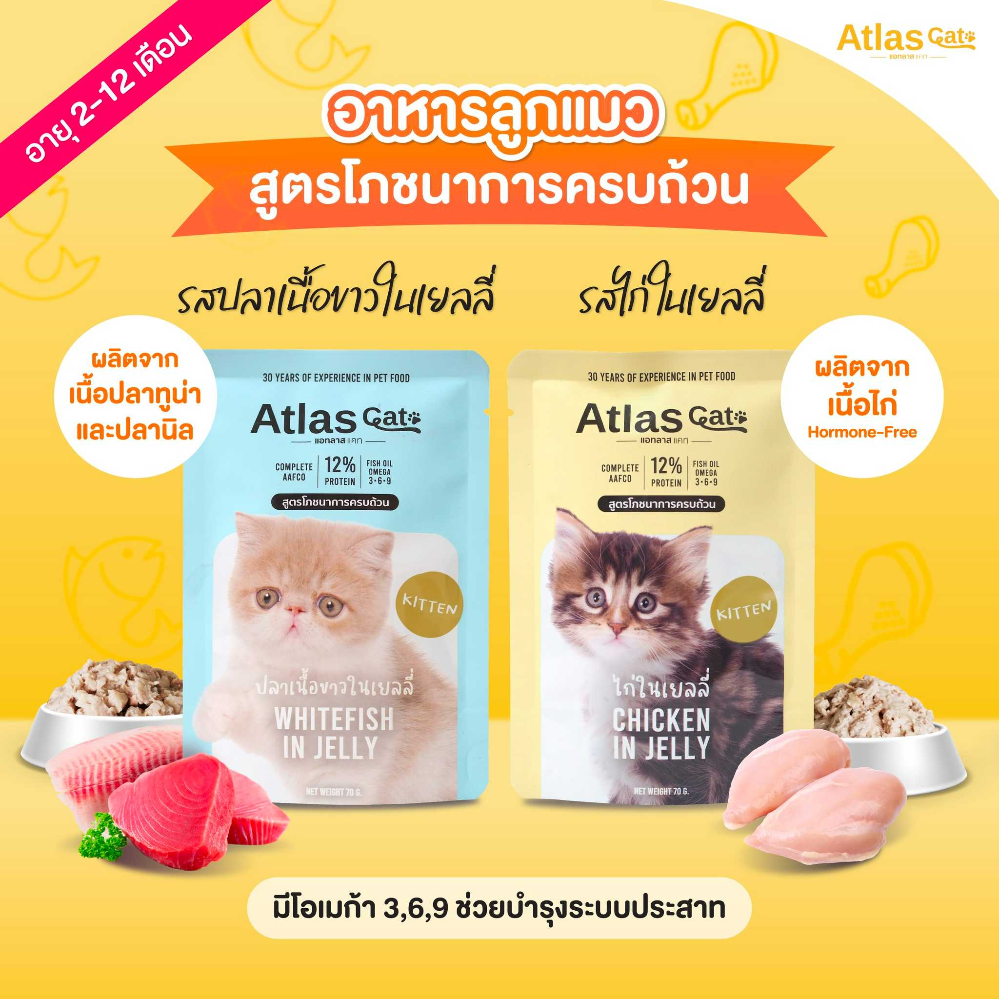 (แพ็ค 3) Atlas Cat แอทลาส แคท อาหารแมวเปียก สูตรโภขนาการครบถ้วนสำหรับลูกแมว 2-12 เดือน (เลือกรสได้)