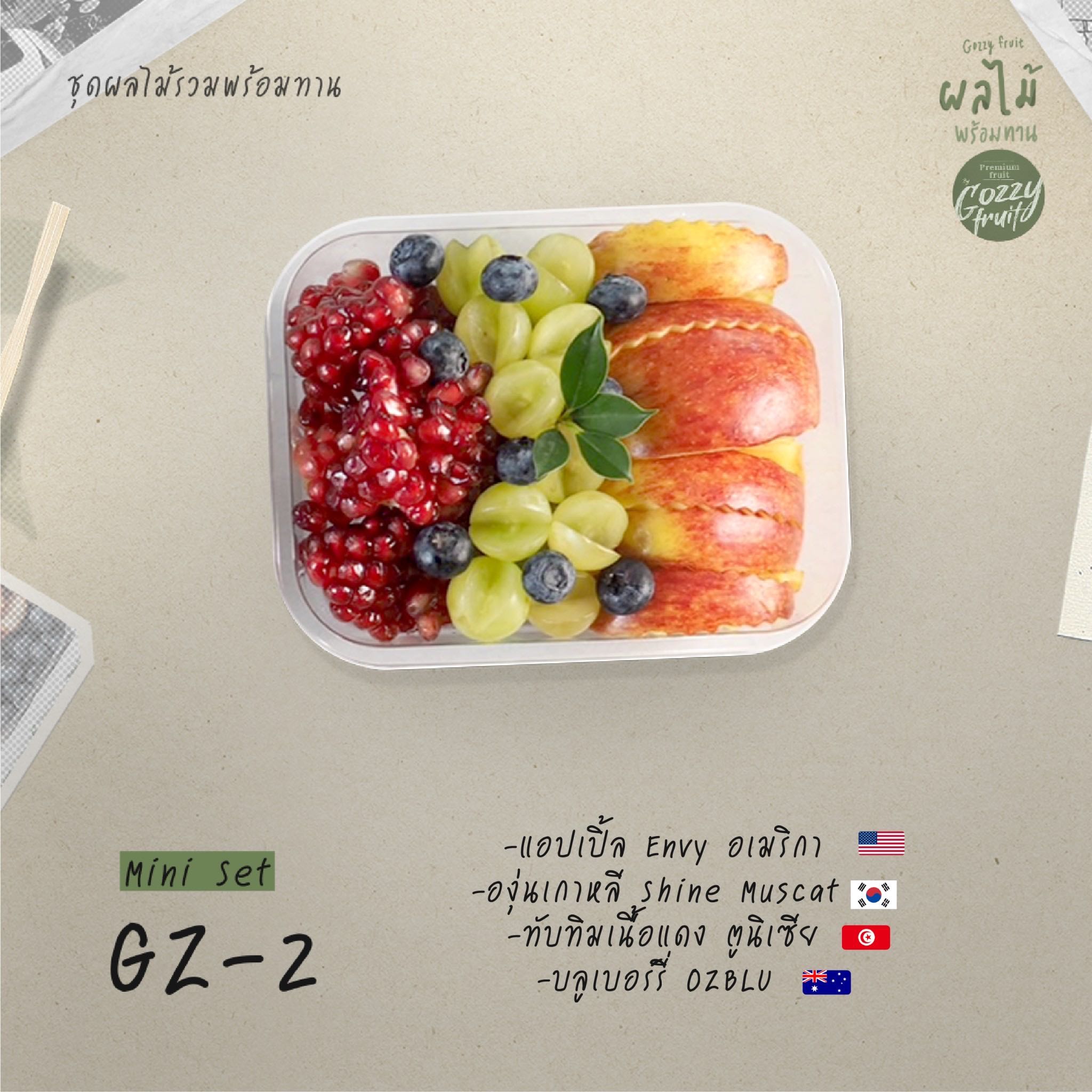 ชุดผลไม้รวมพร้อมทาน Mini Set GZ-2