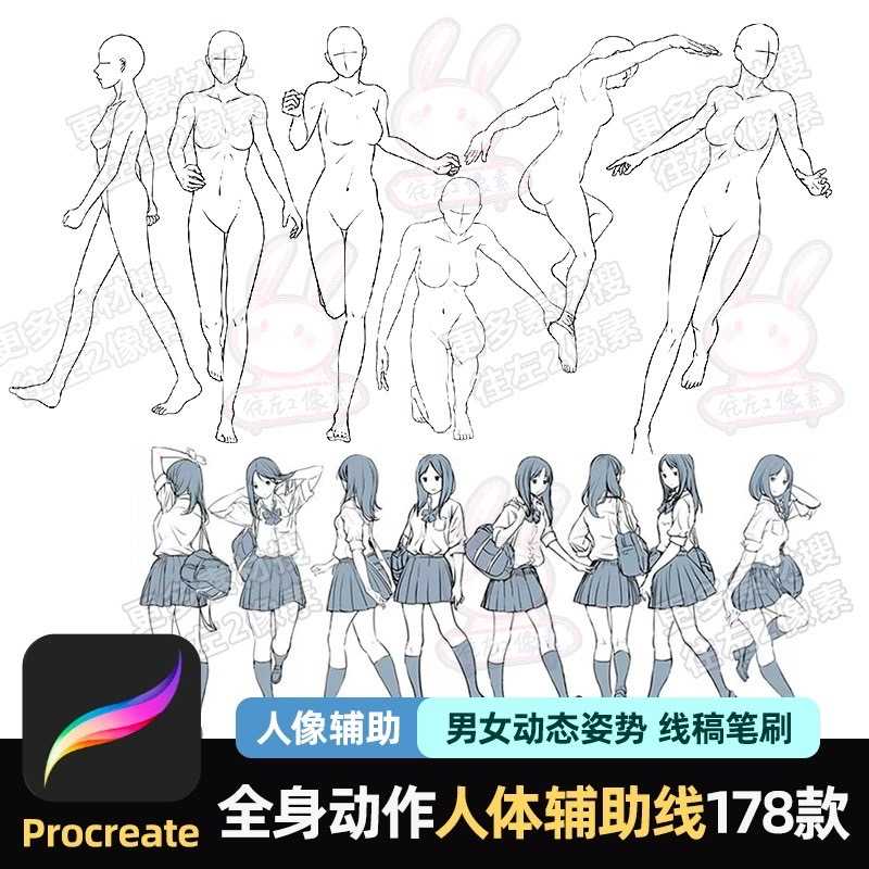 BBO041 Procreate PS บรัชเบส ผู้หญิง โครงร่าง 178 บรัช