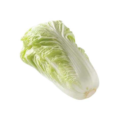 FG11016 ผักกาดขาว Chinese Cabbage ( 600g )